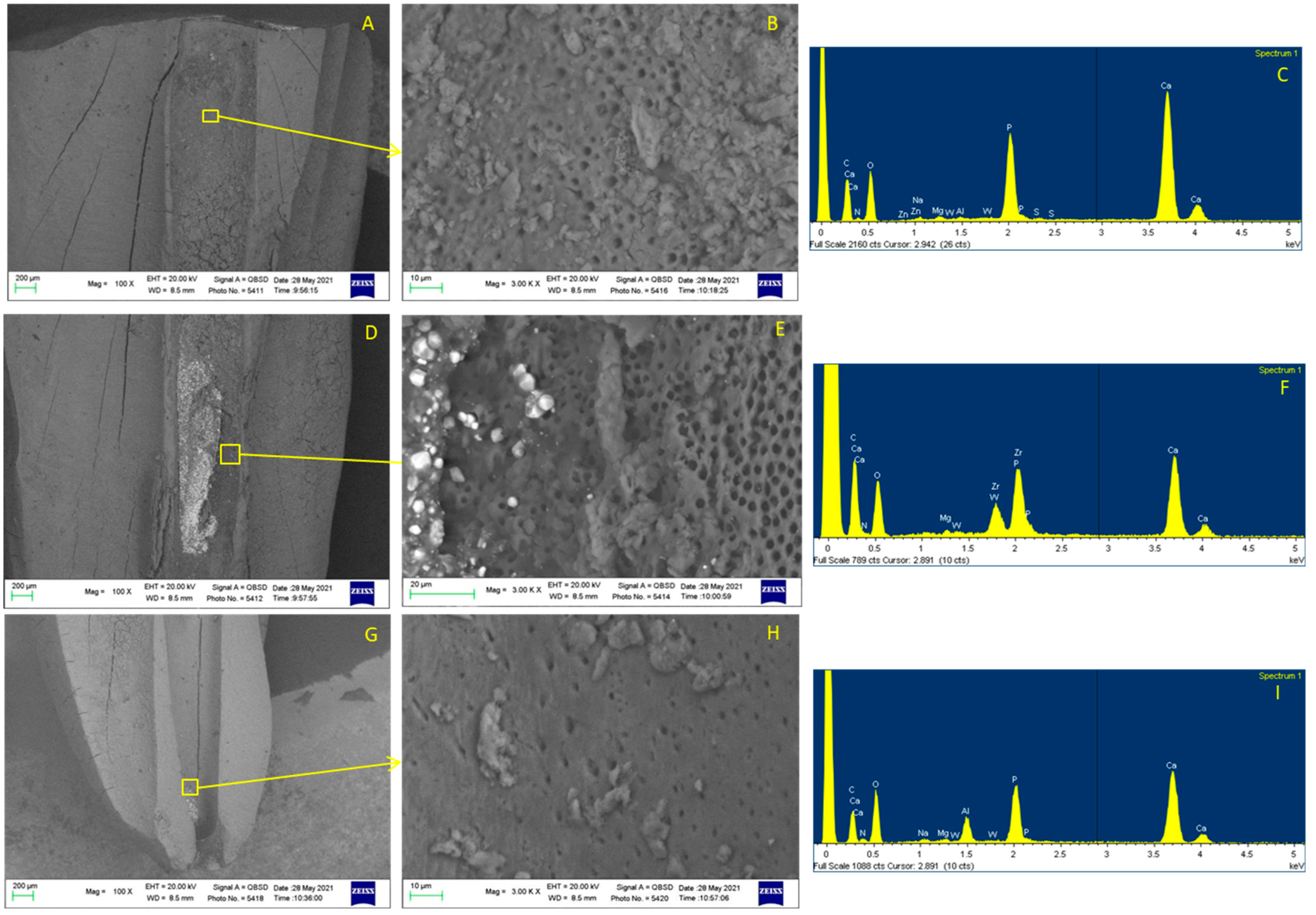 Applsci 12 11671 g005