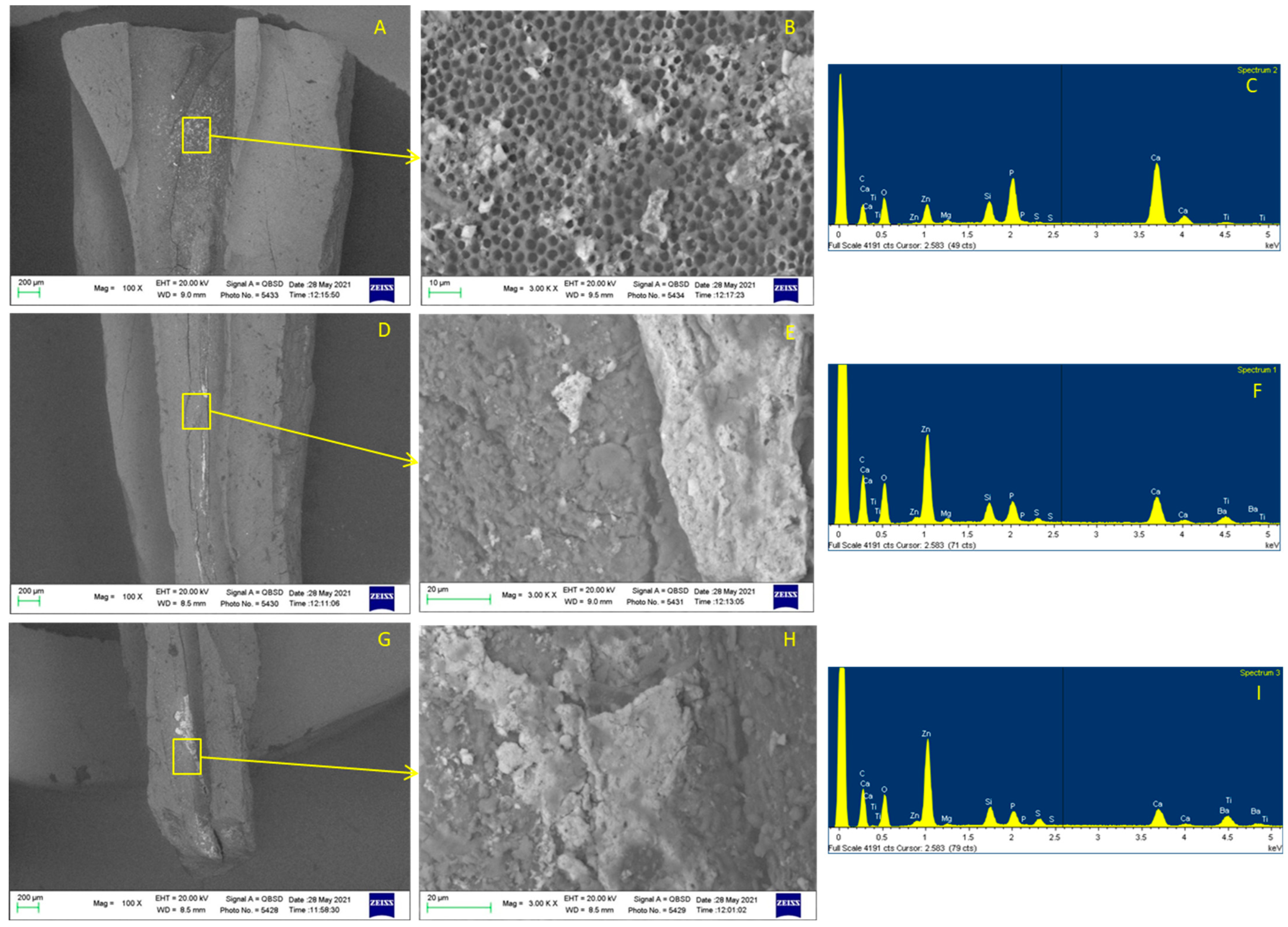 Applsci 12 11671 g006