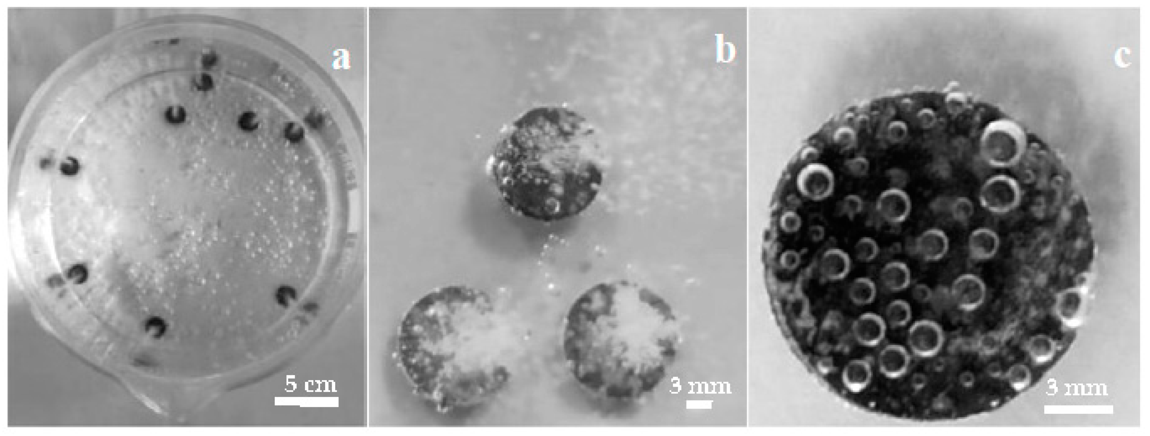 Applsci 12 11674 g001