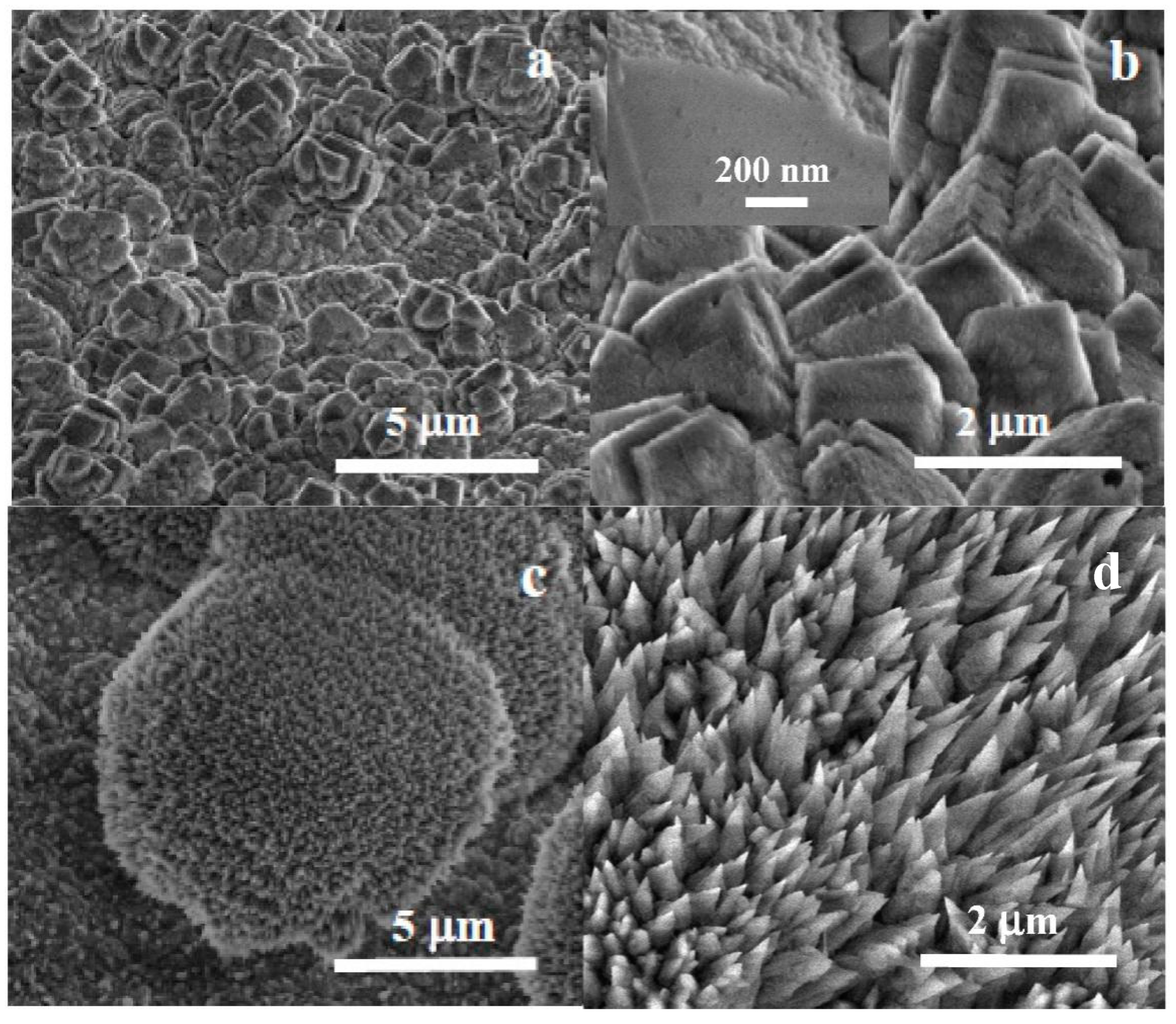 Applsci 12 11674 g007