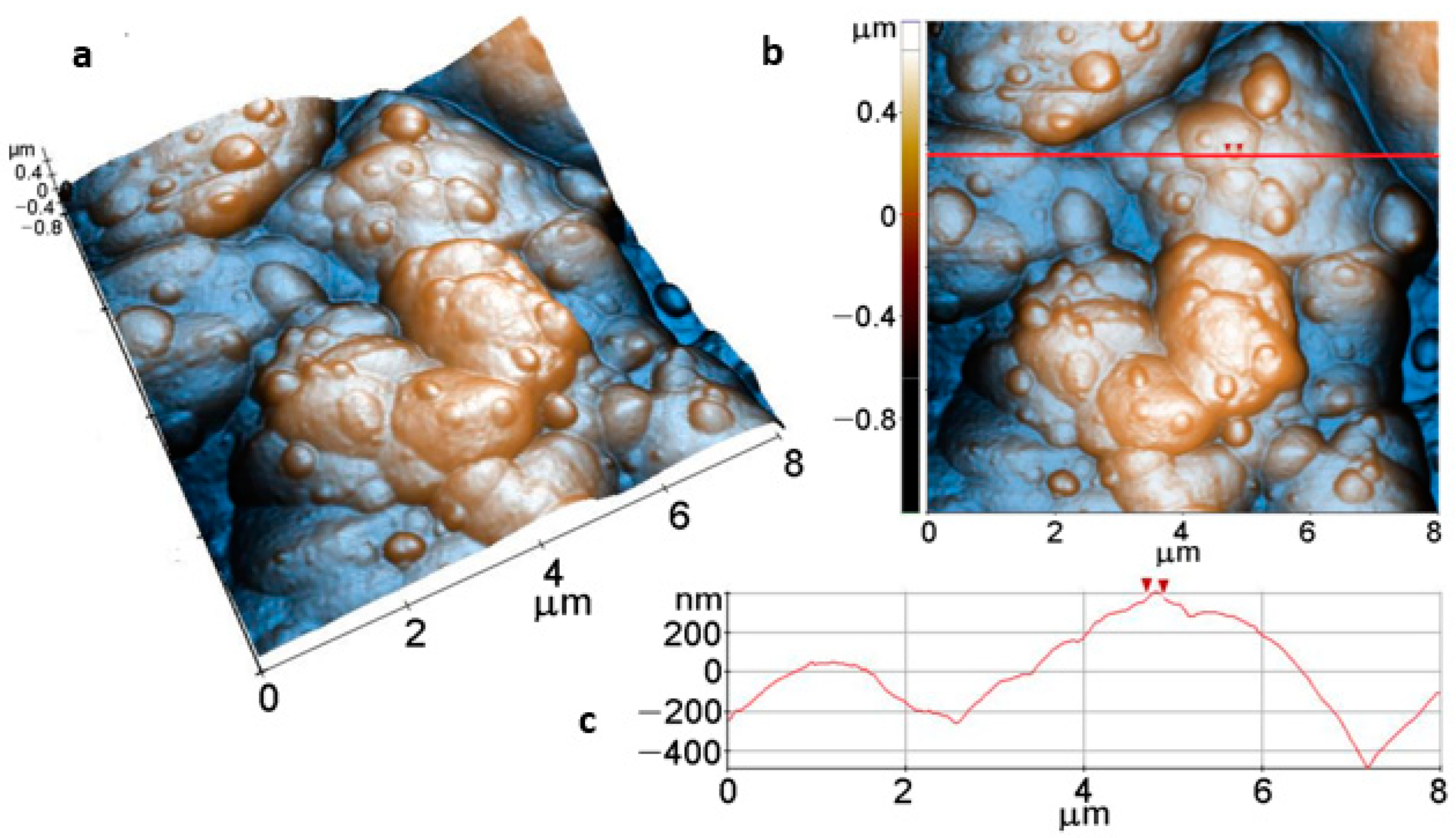 Applsci 12 11674 g009