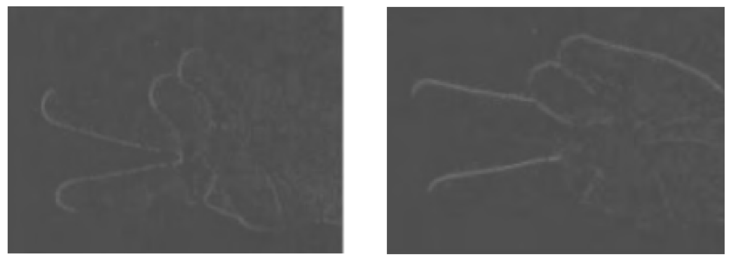 Applsci 12 11717 g004