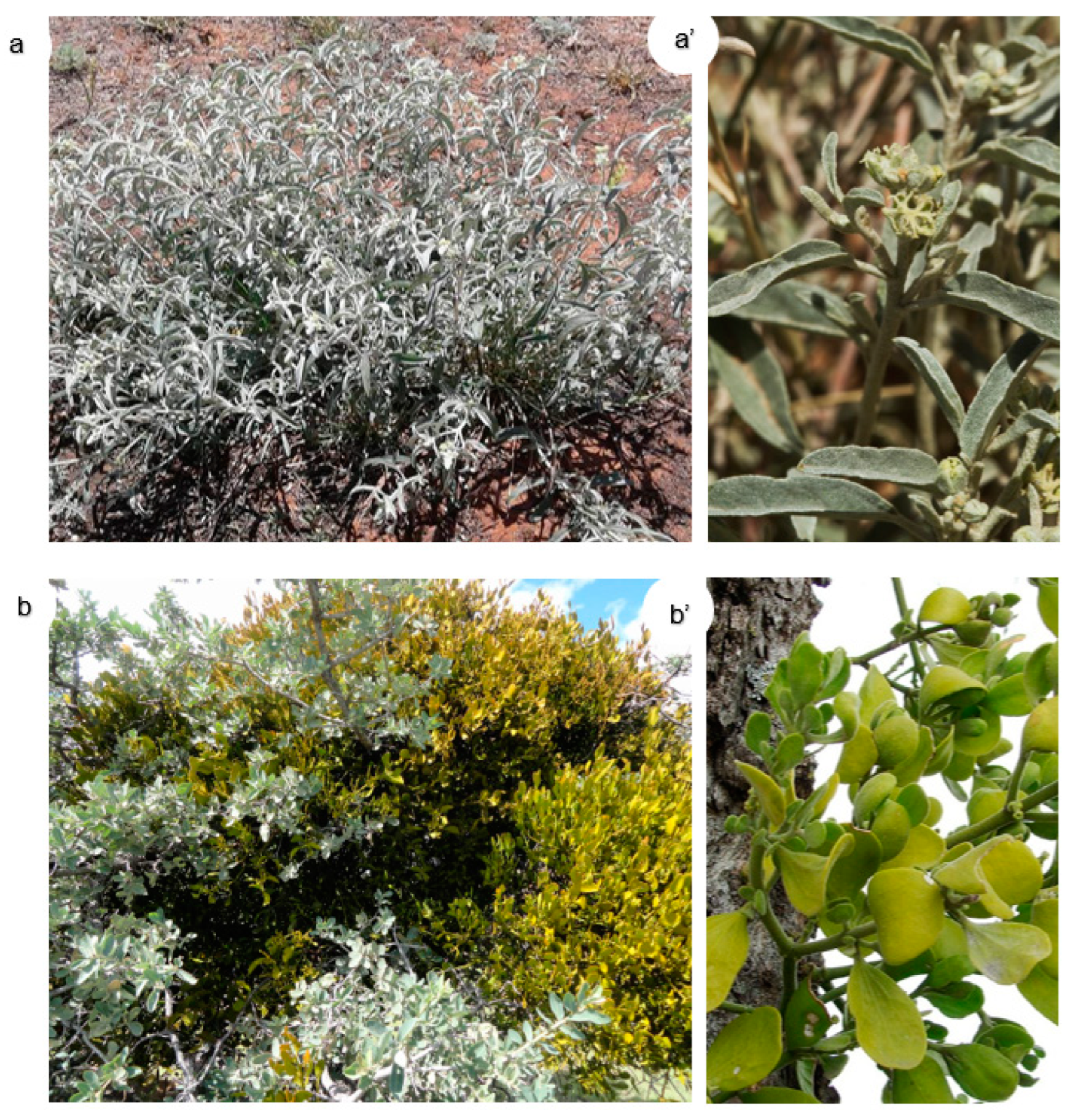 Applsci 12 11772 g003