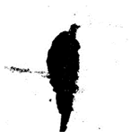Applsci 12 11799 i009
