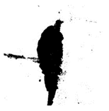 Applsci 12 11799 i010