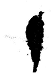 Applsci 12 11799 i011