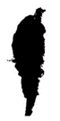 Applsci 12 11799 i012