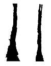 Applsci 12 11799 i047