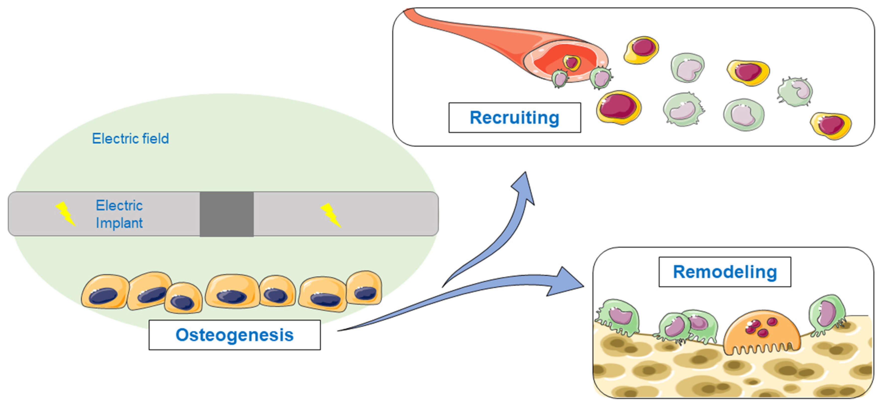 Applsci 12 11840 g001