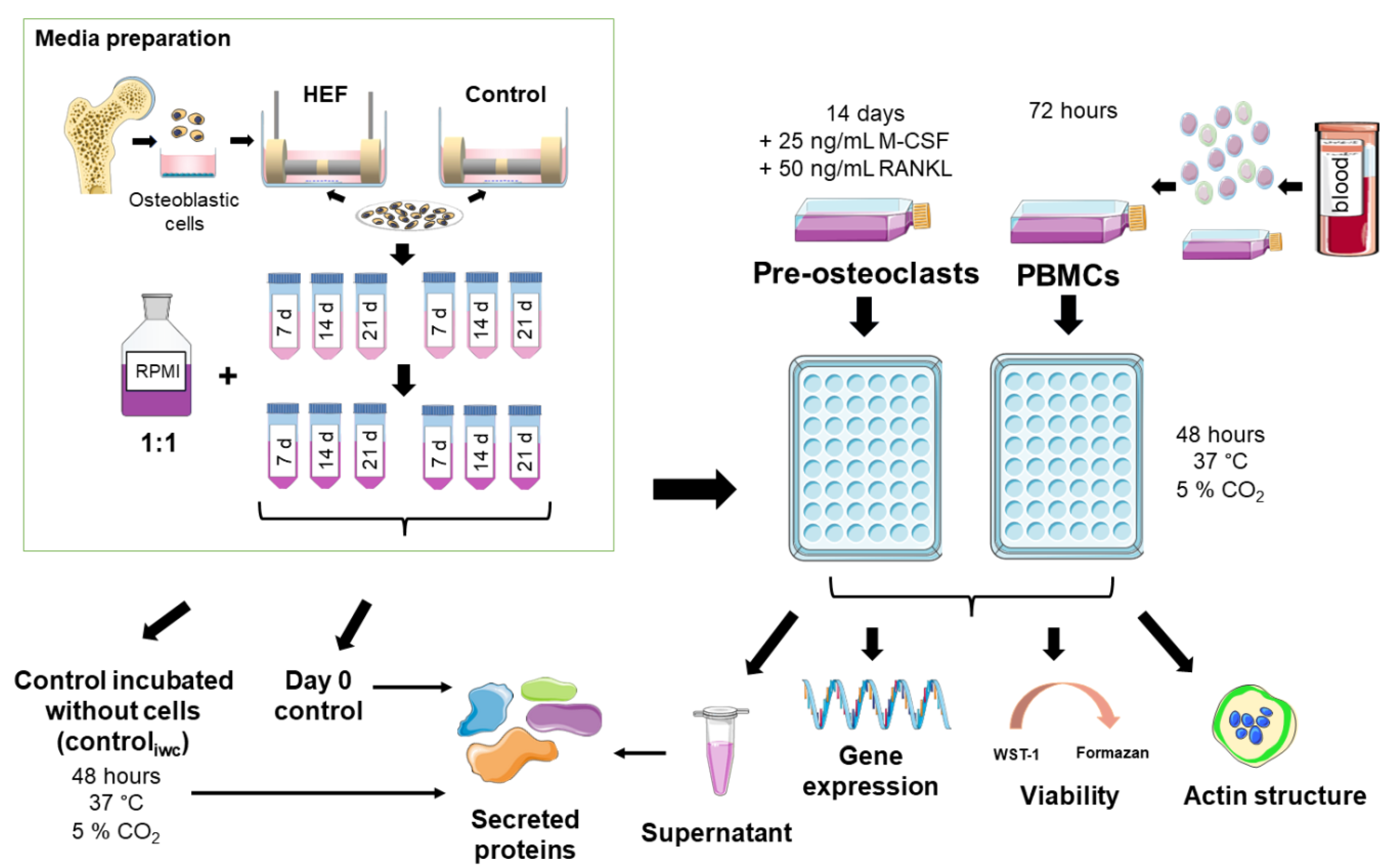 Applsci 12 11840 g002