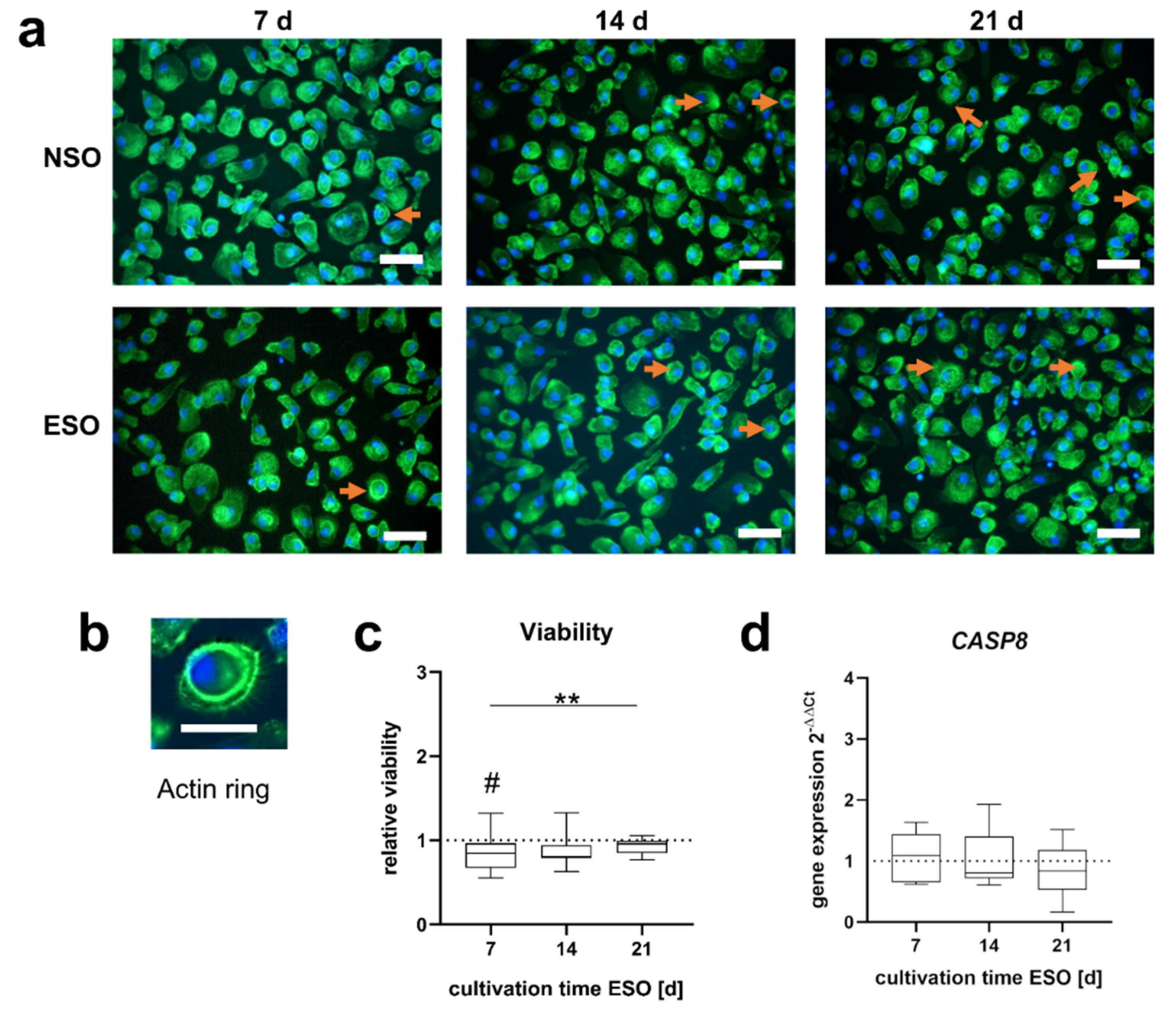 Applsci 12 11840 g003