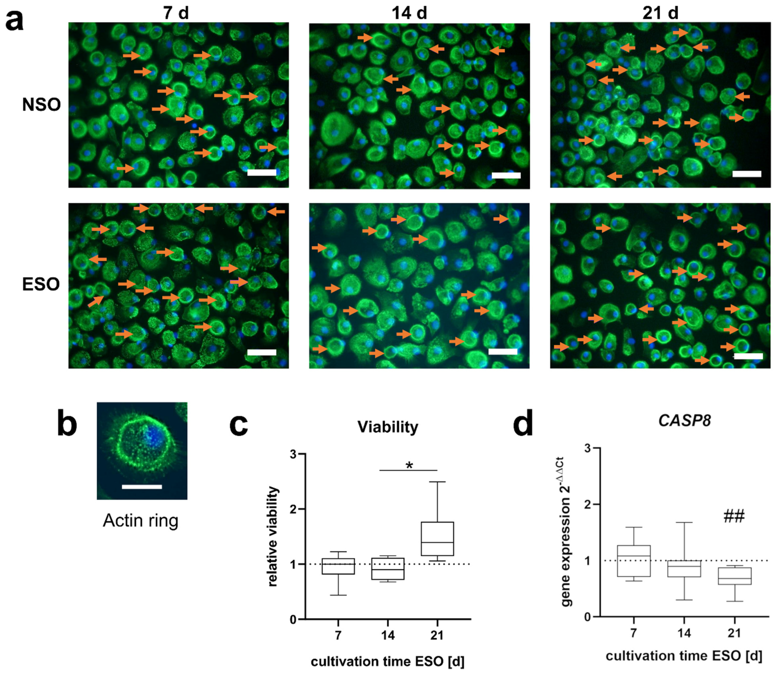 Applsci 12 11840 g005