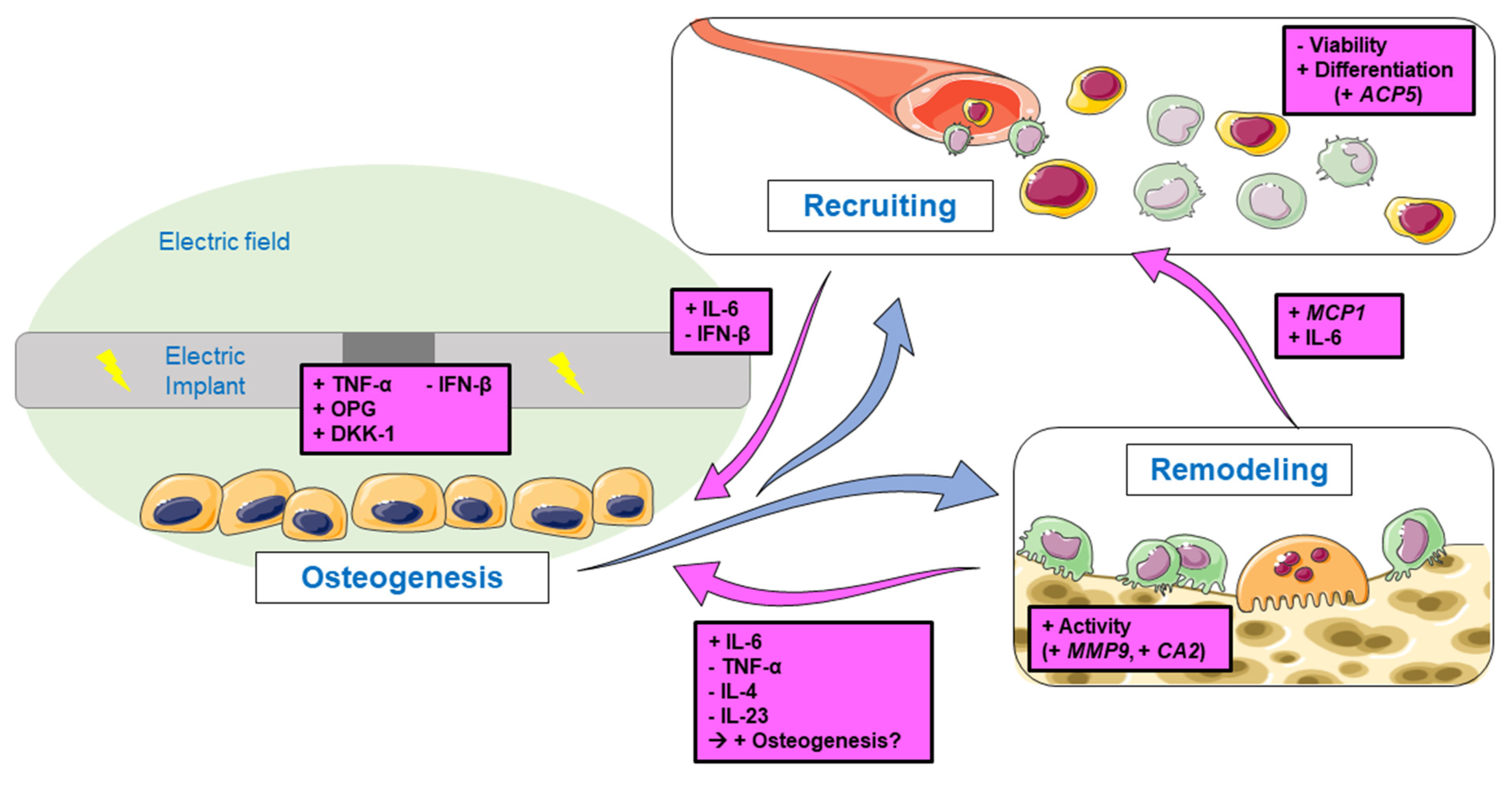 Applsci 12 11840 g007