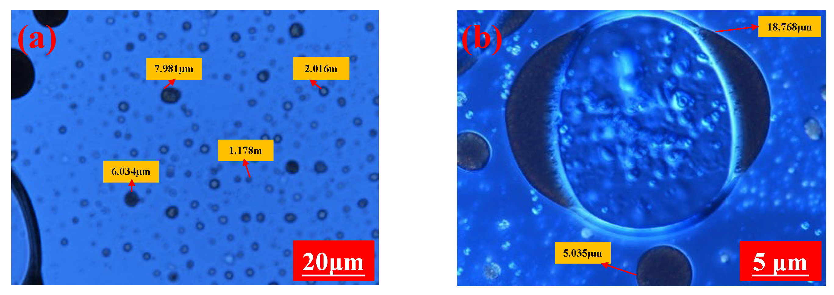 Applsci 12 11867 g013