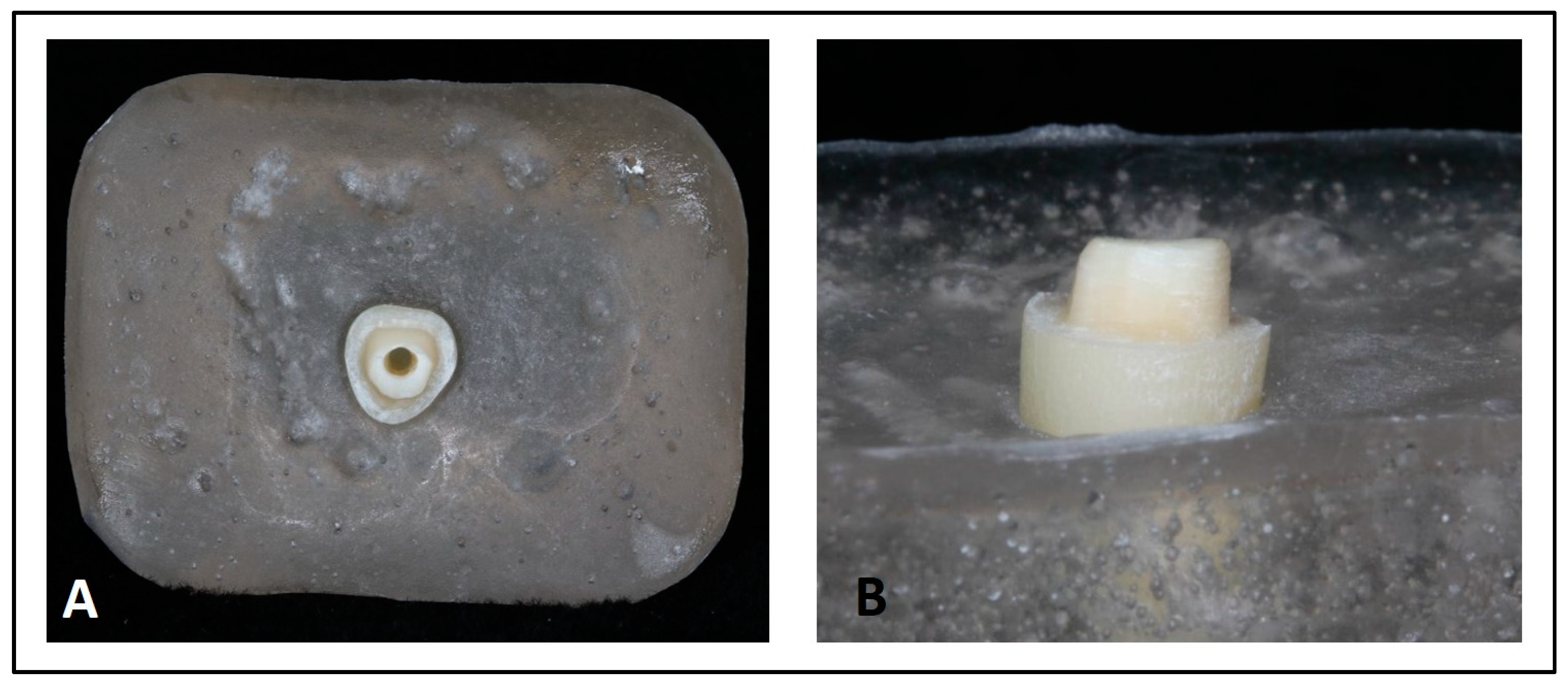 Applsci 12 11896 g002