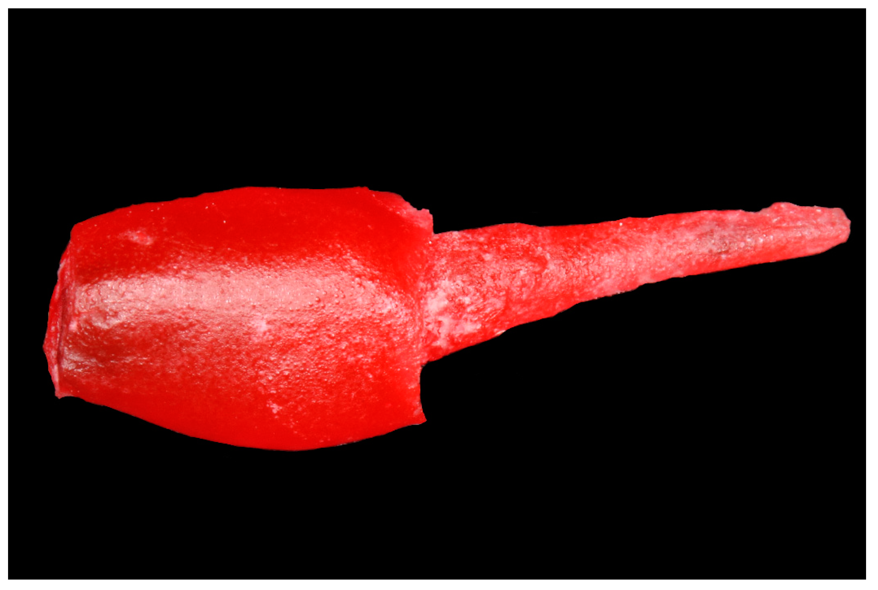 Applsci 12 11896 g003