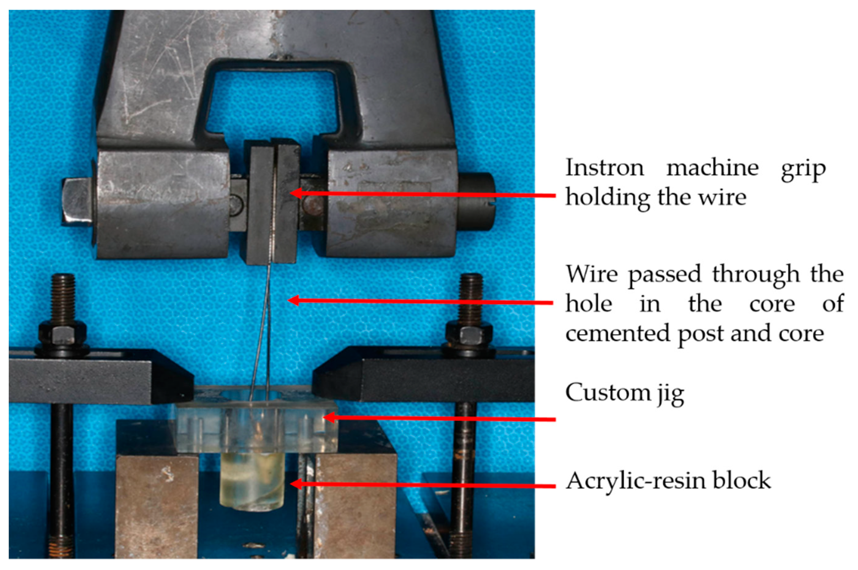 Applsci 12 11896 g007