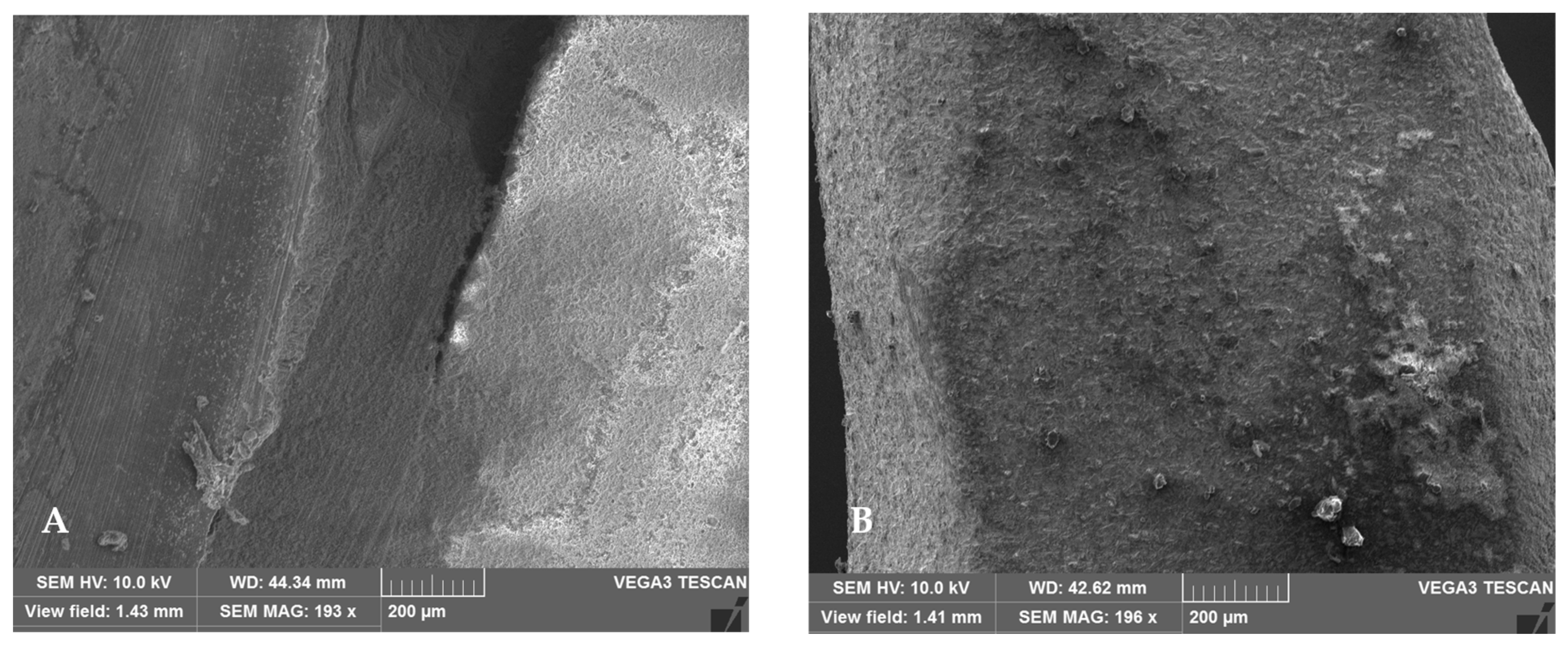 Applsci 12 11896 g010