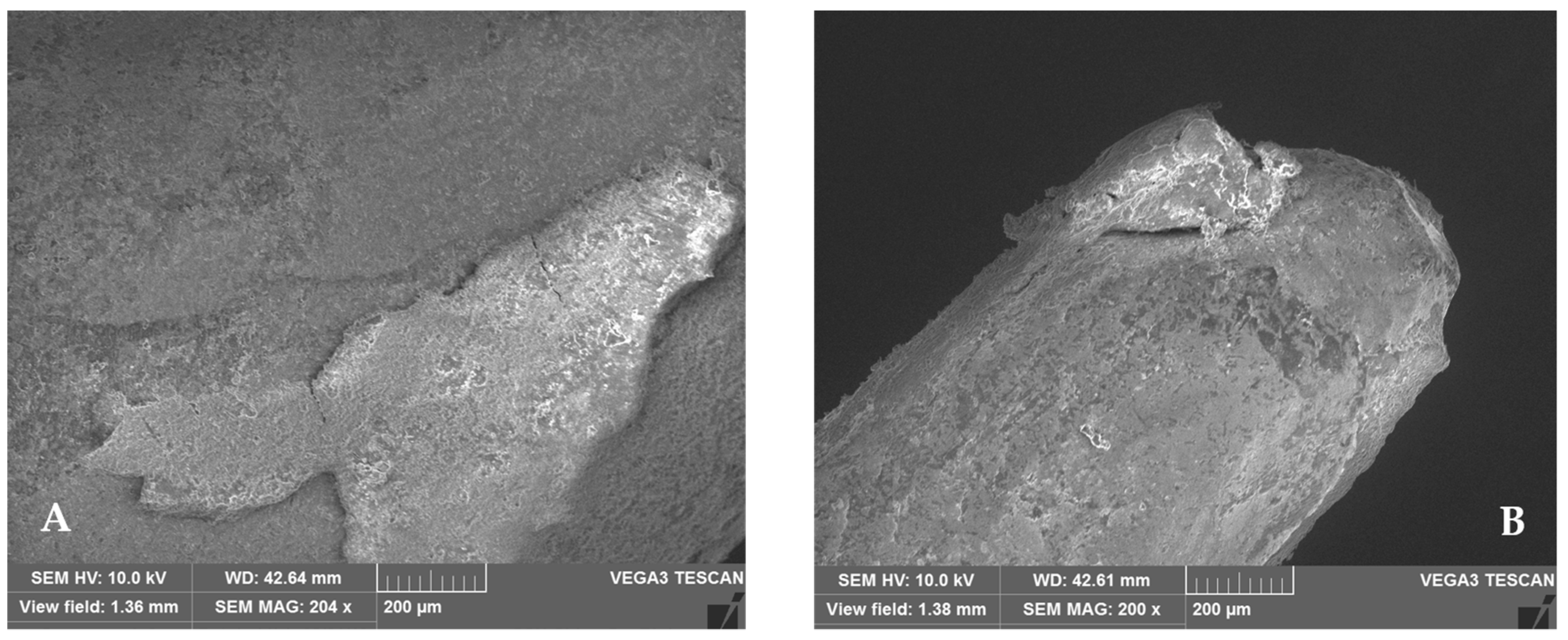 Applsci 12 11896 g012