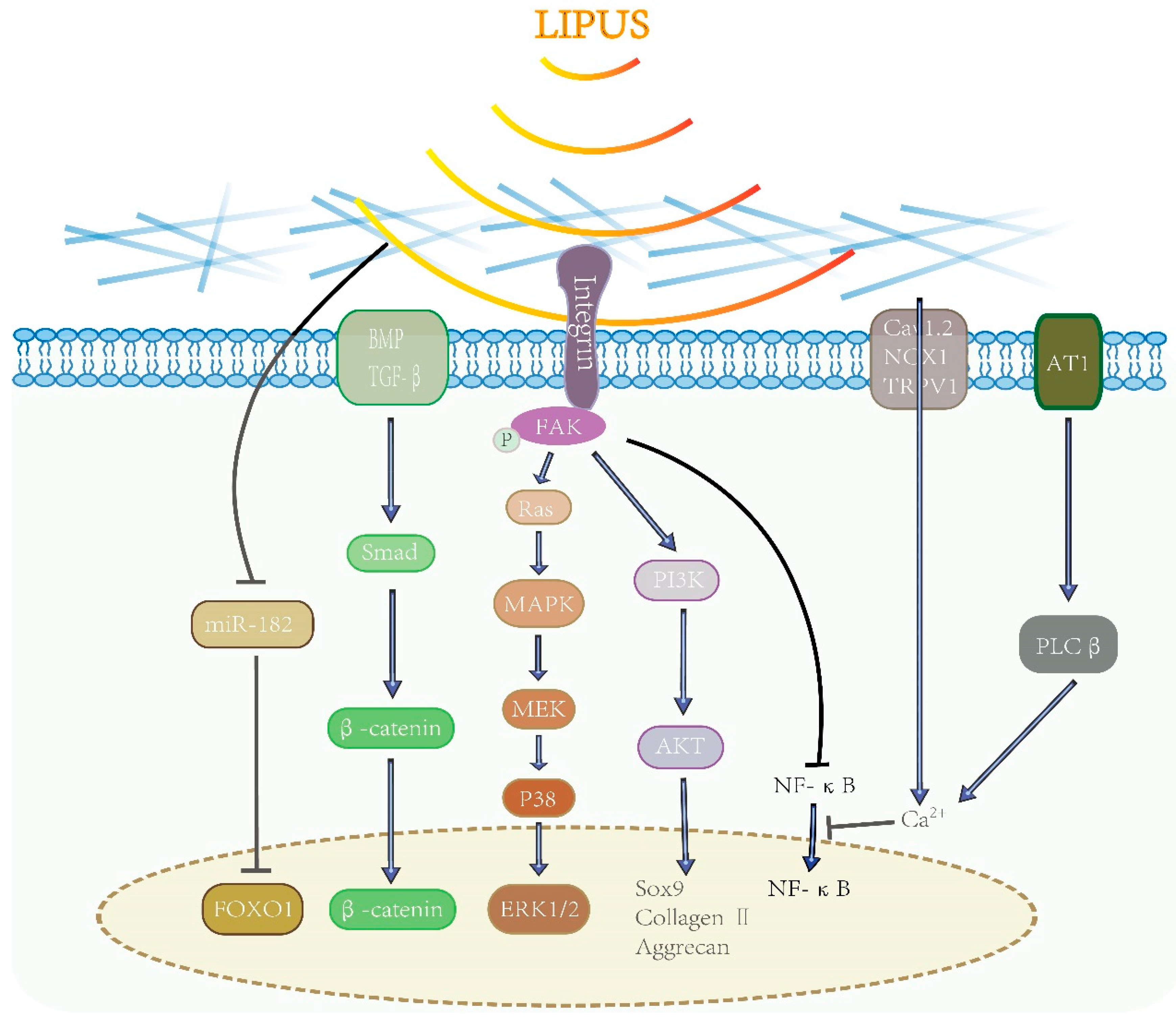 Applsci 12 11898 g001