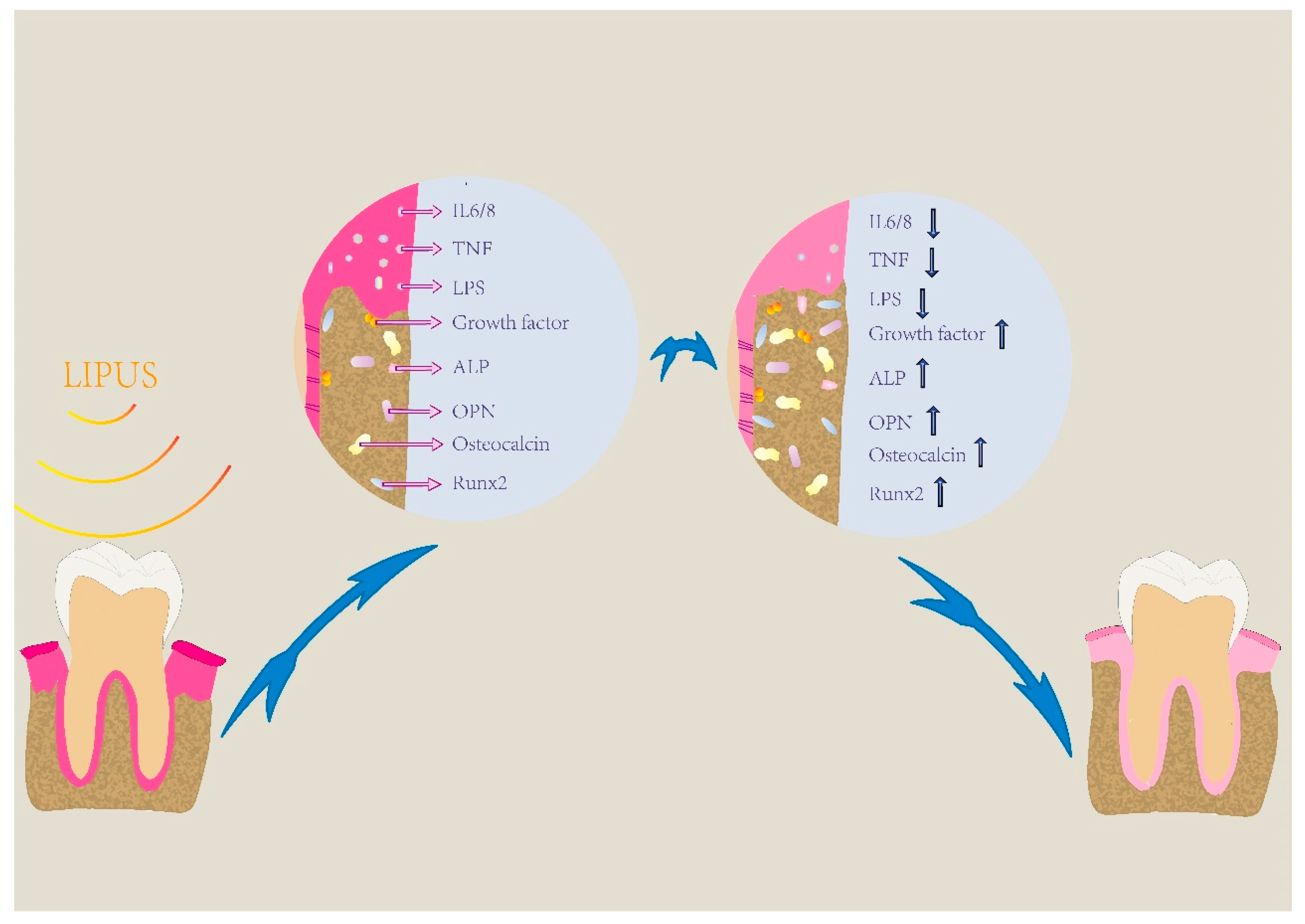 Applsci 12 11898 g003