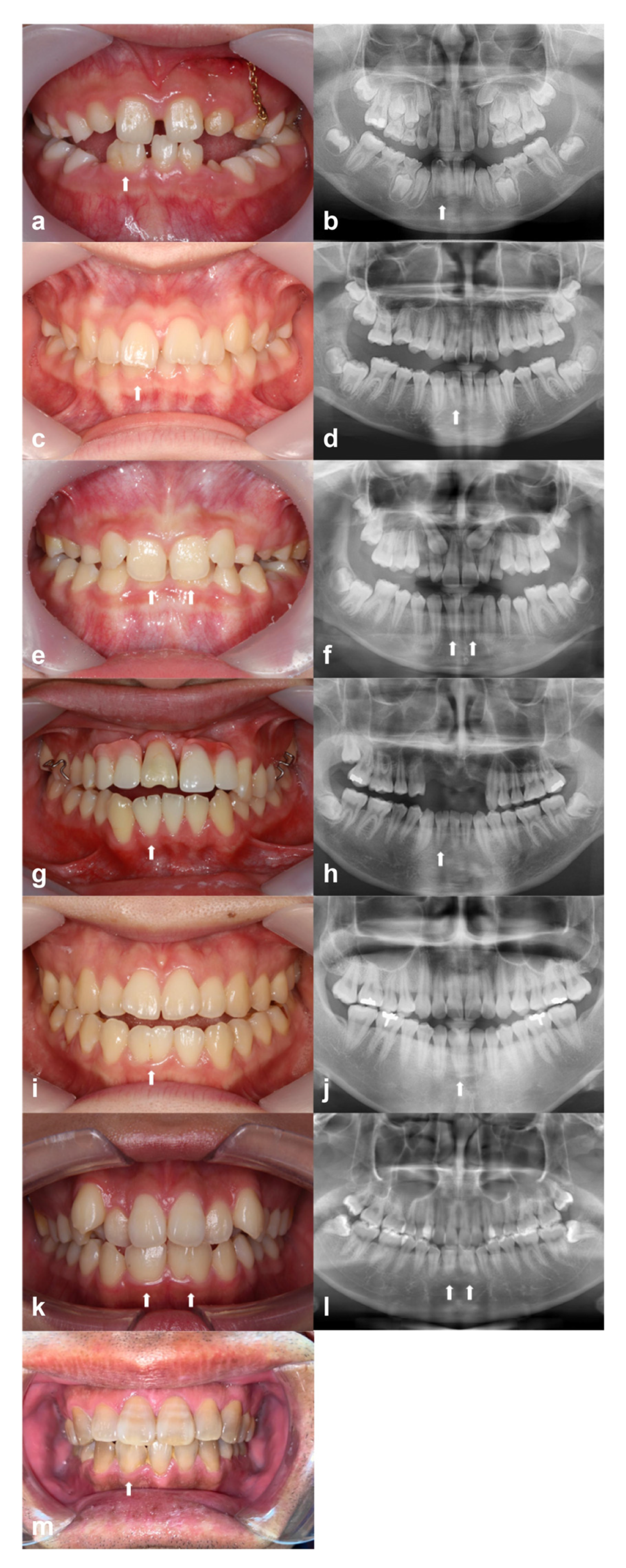 Applsci 12 11899 g002