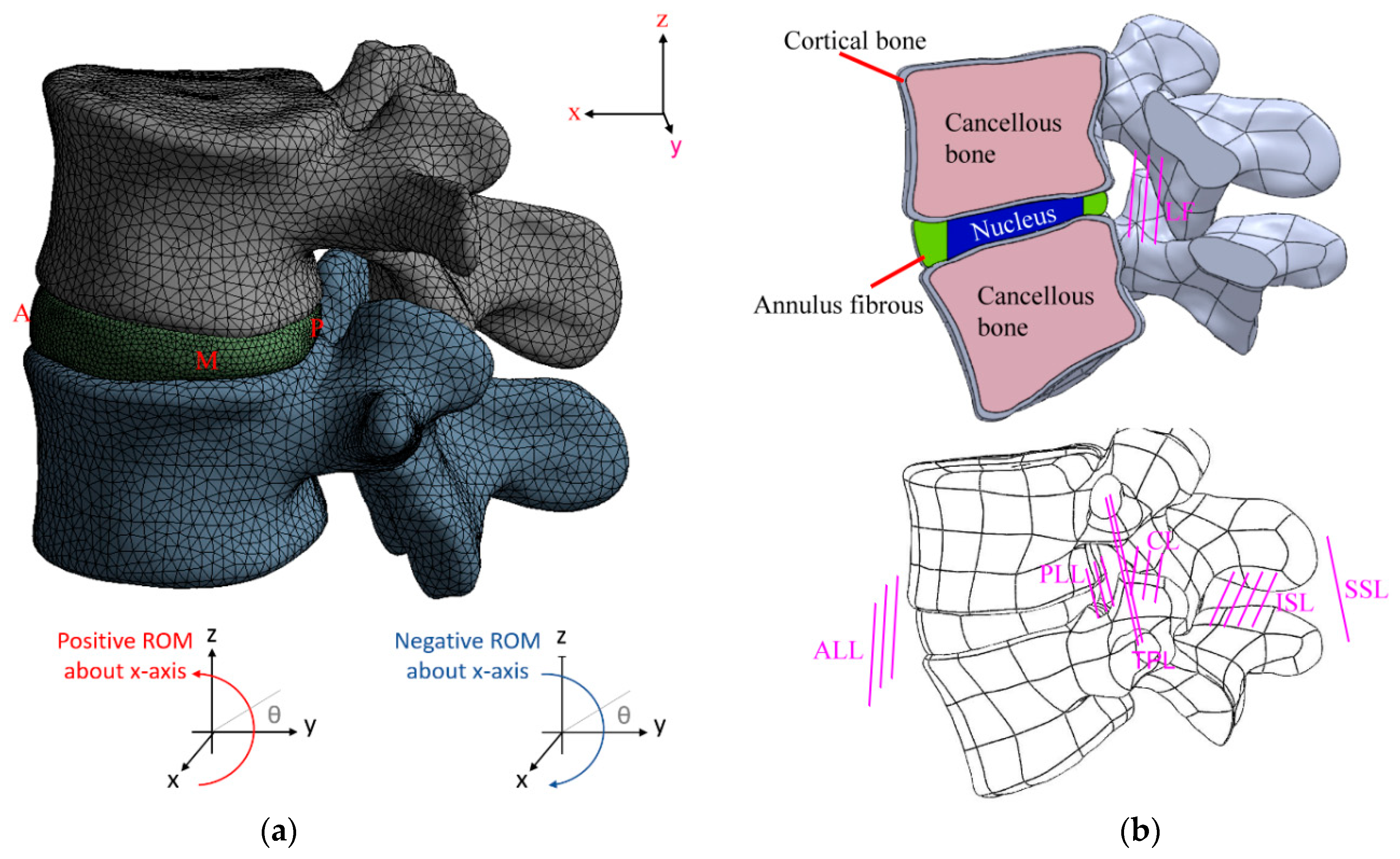 Applsci 12 11906 g001