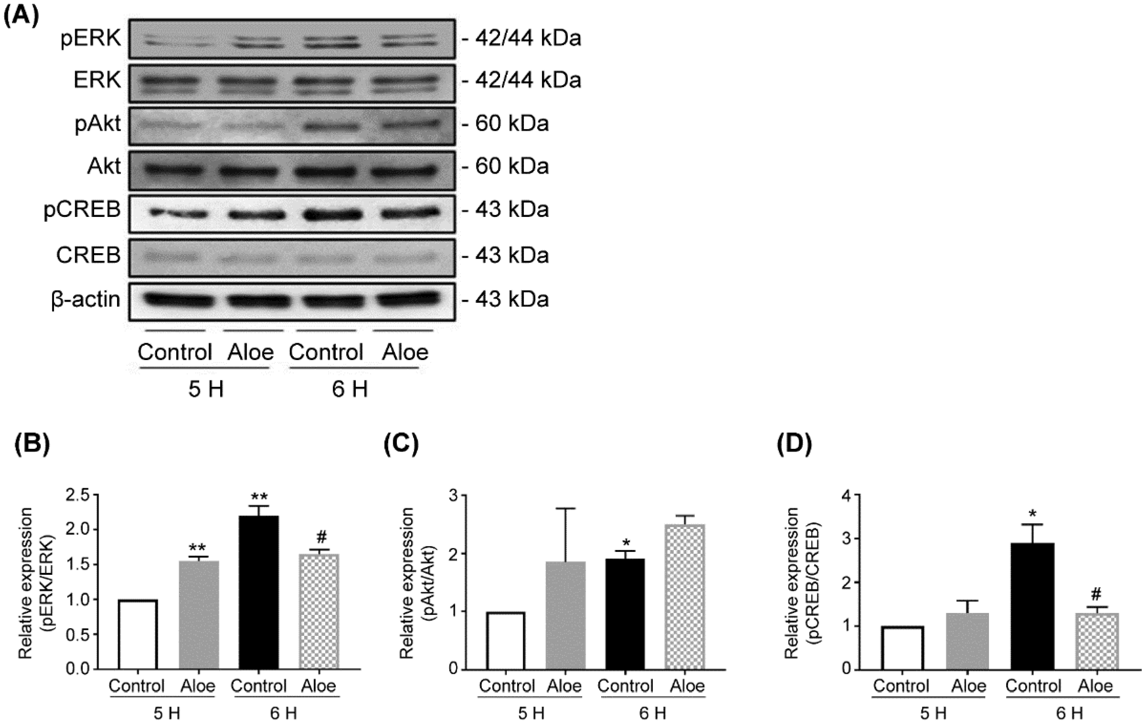 Applsci 12 11919 g004