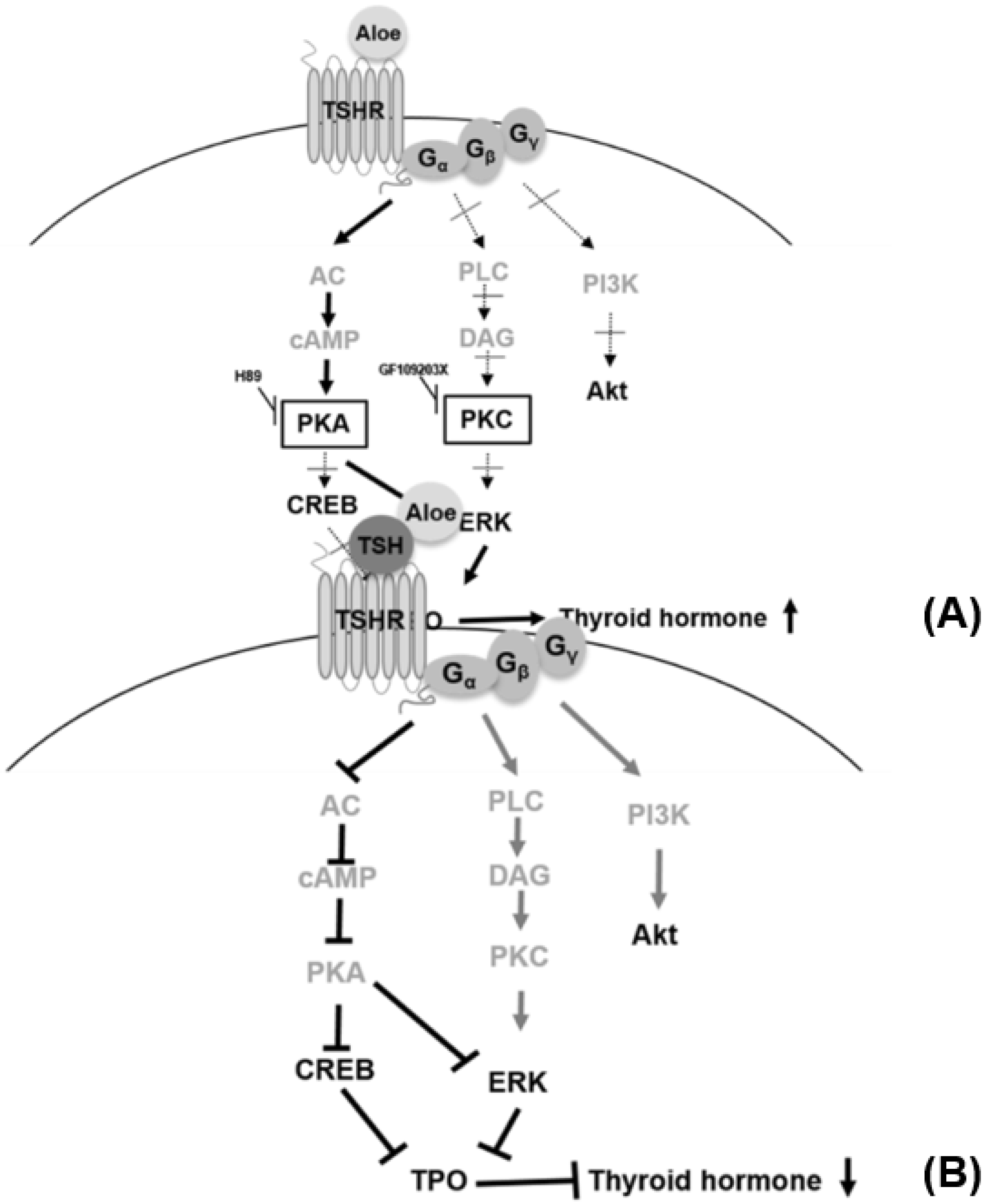 Applsci 12 11919 g006