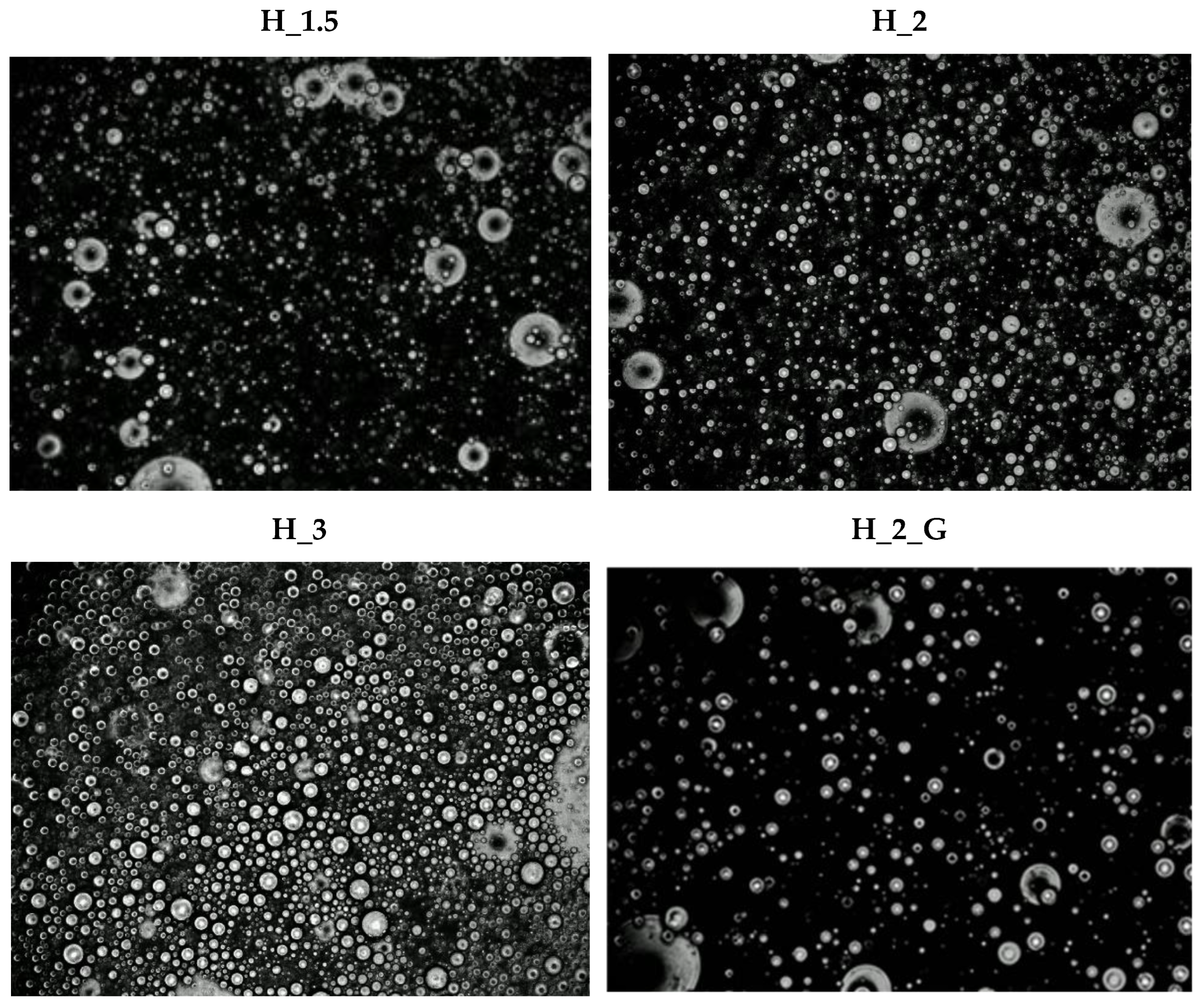 Applsci 12 11921 g002