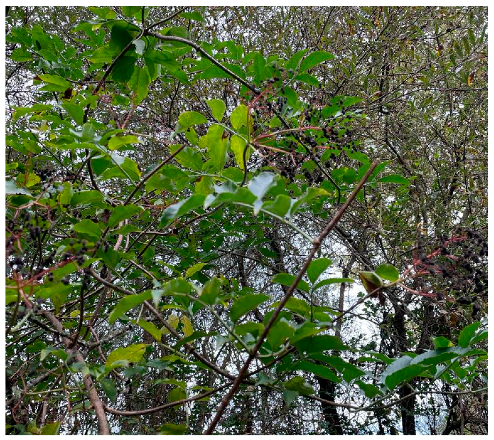 Applsci 12 11928 g001