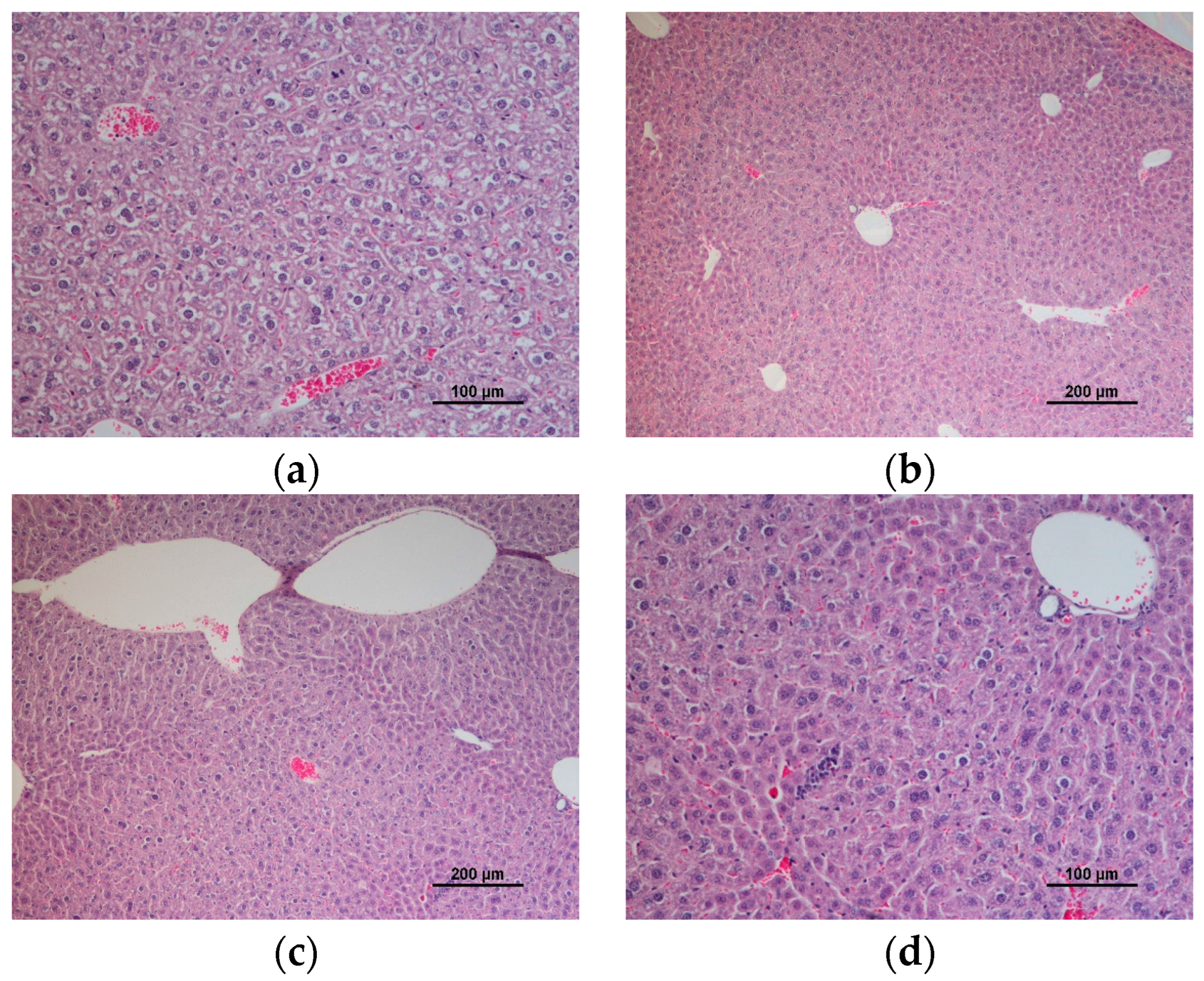 Applsci 12 11928 g004