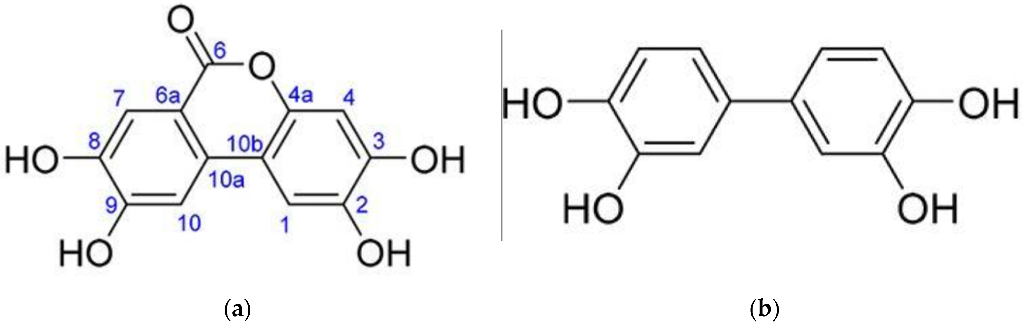 Applsci 12 11954 g002a Applsci 12 11954 g002a