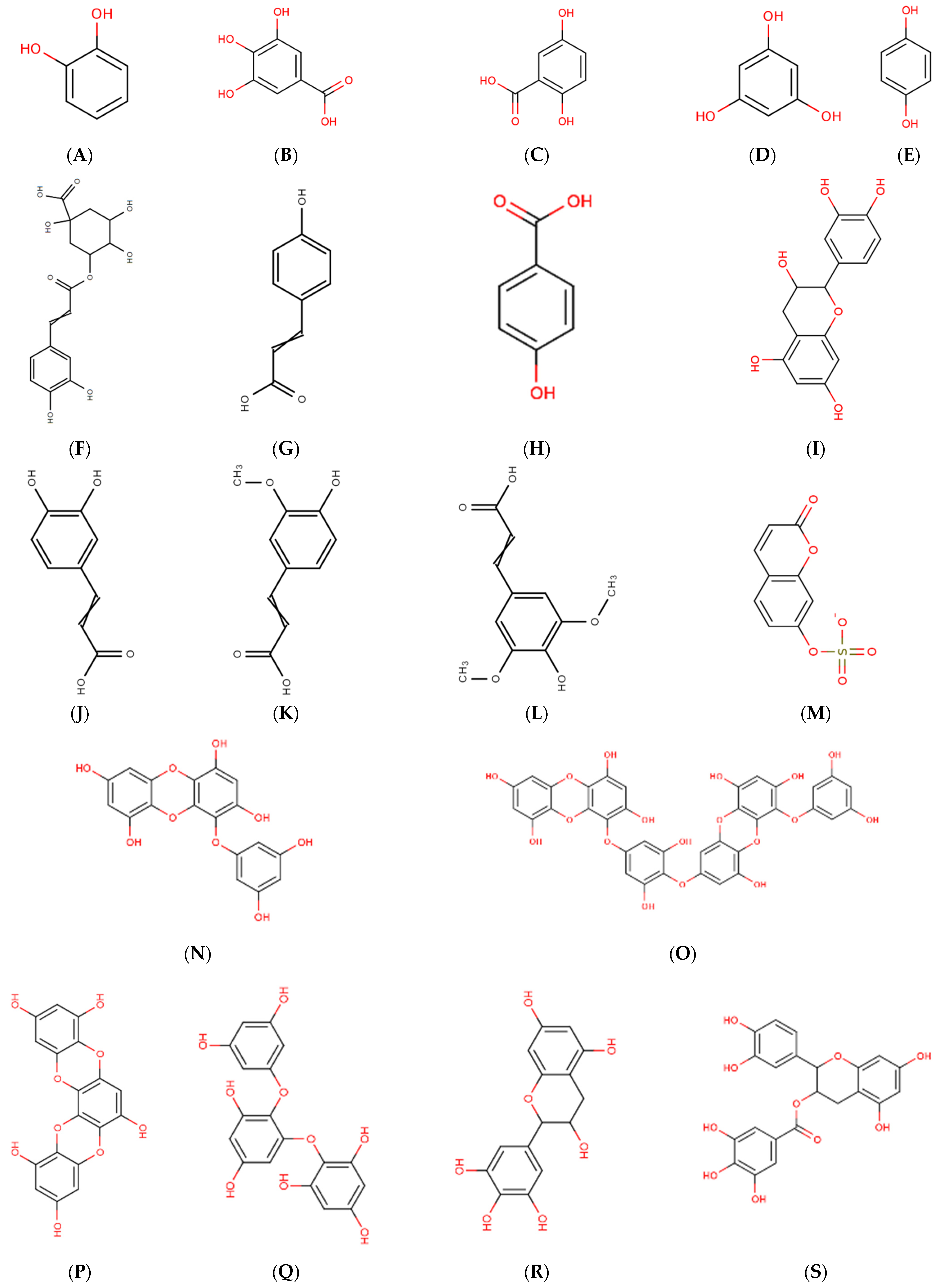 Applsci 12 11954 g004 Applsci 12 11954 g004