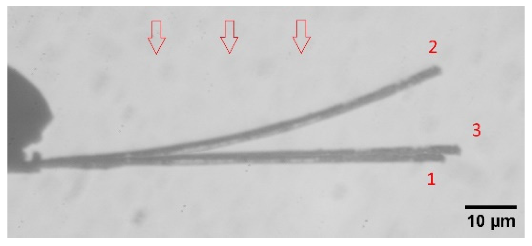 Applsci 12 12007 g002 Applsci 12 12007 g002