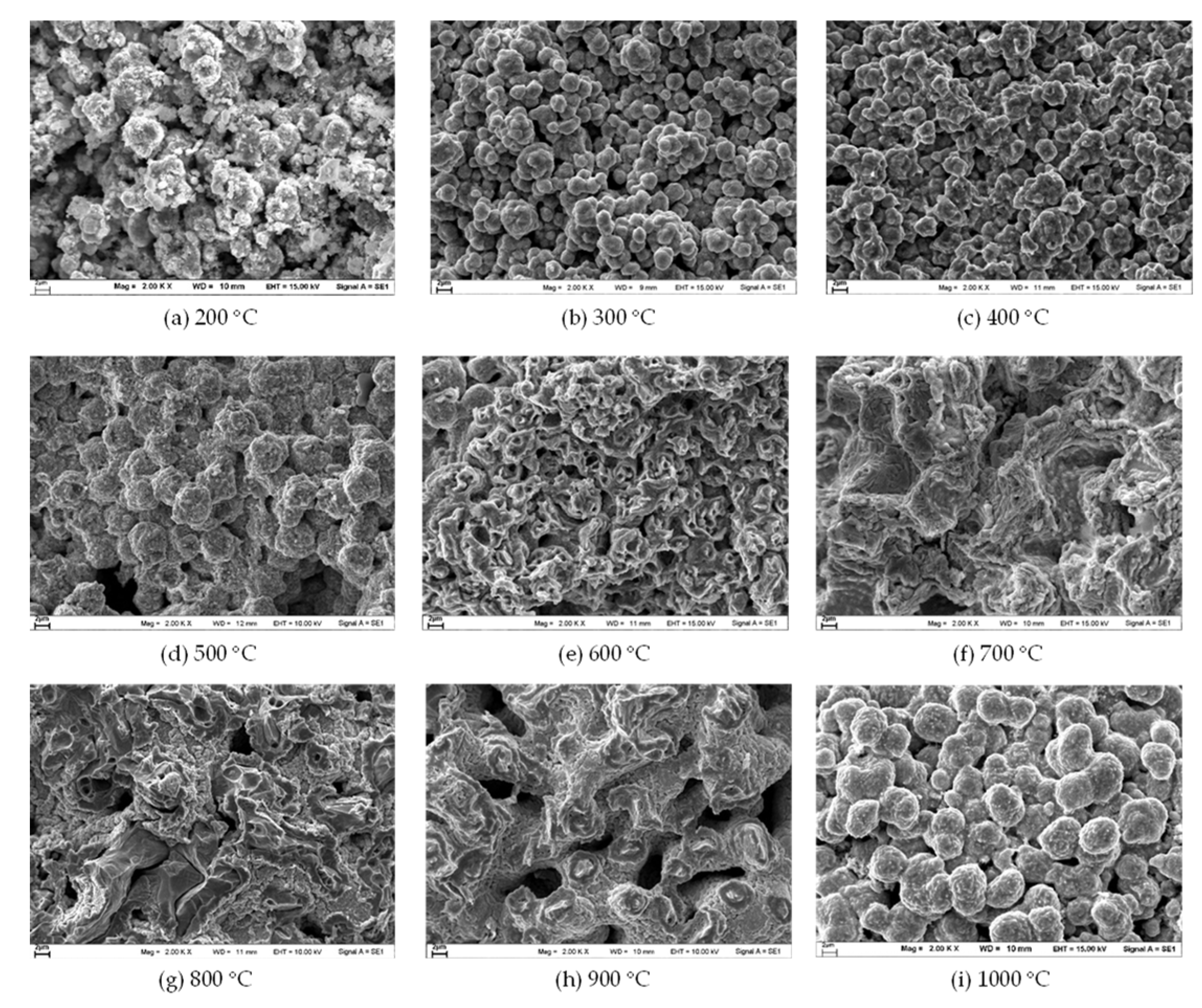 Applsci 12 12050 g002