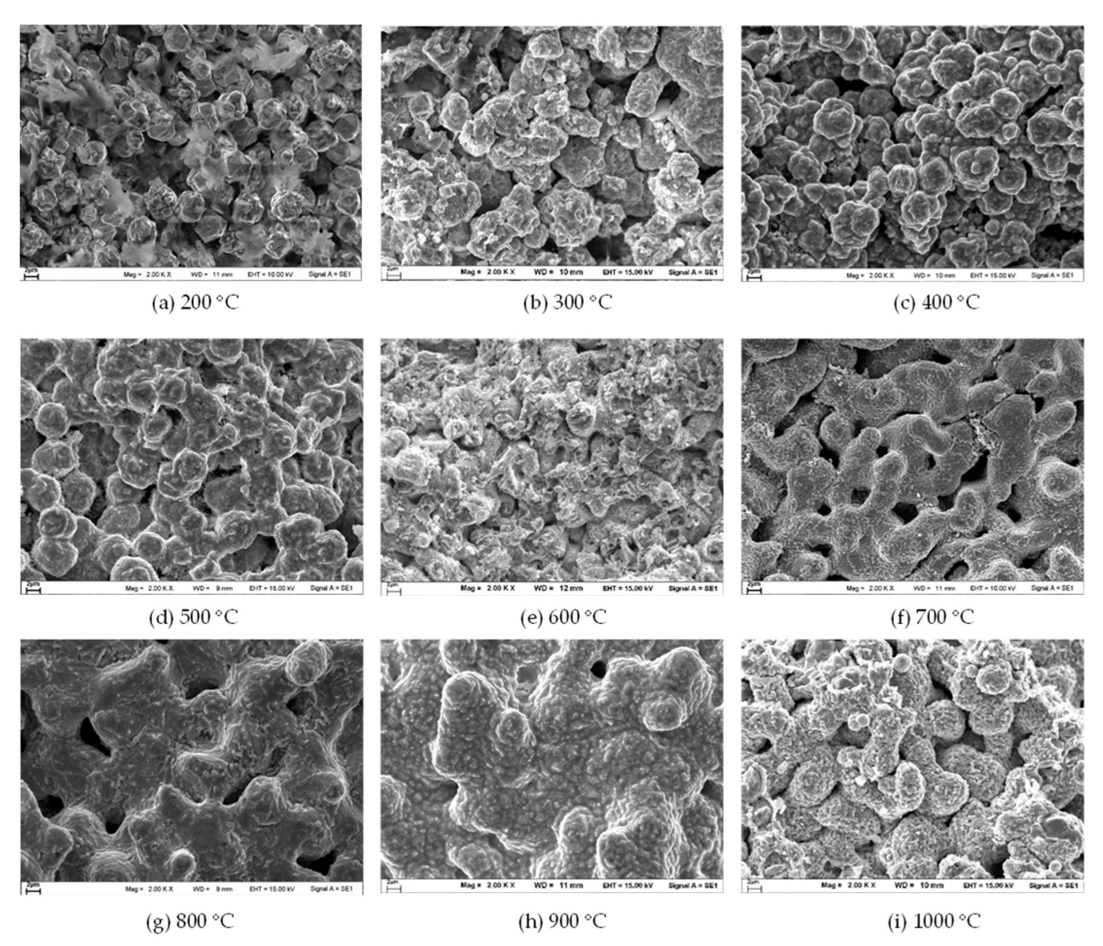 Applsci 12 12050 g003