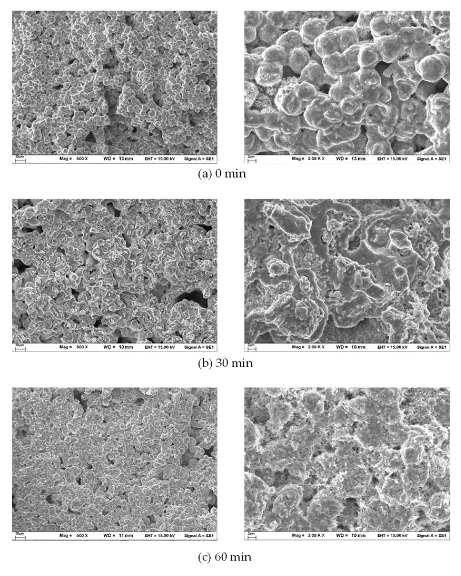 Applsci 12 12050 g009