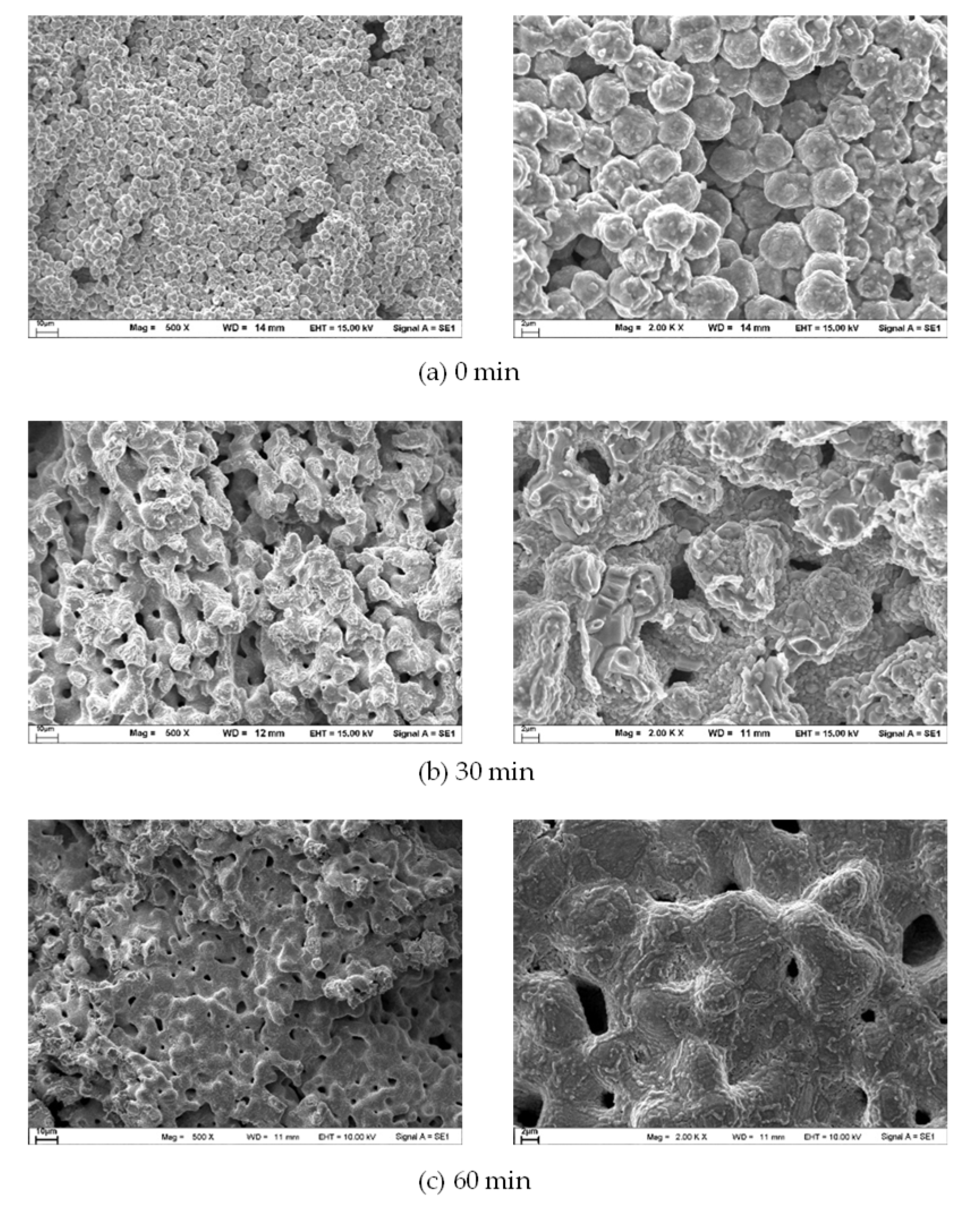 Applsci 12 12050 g010