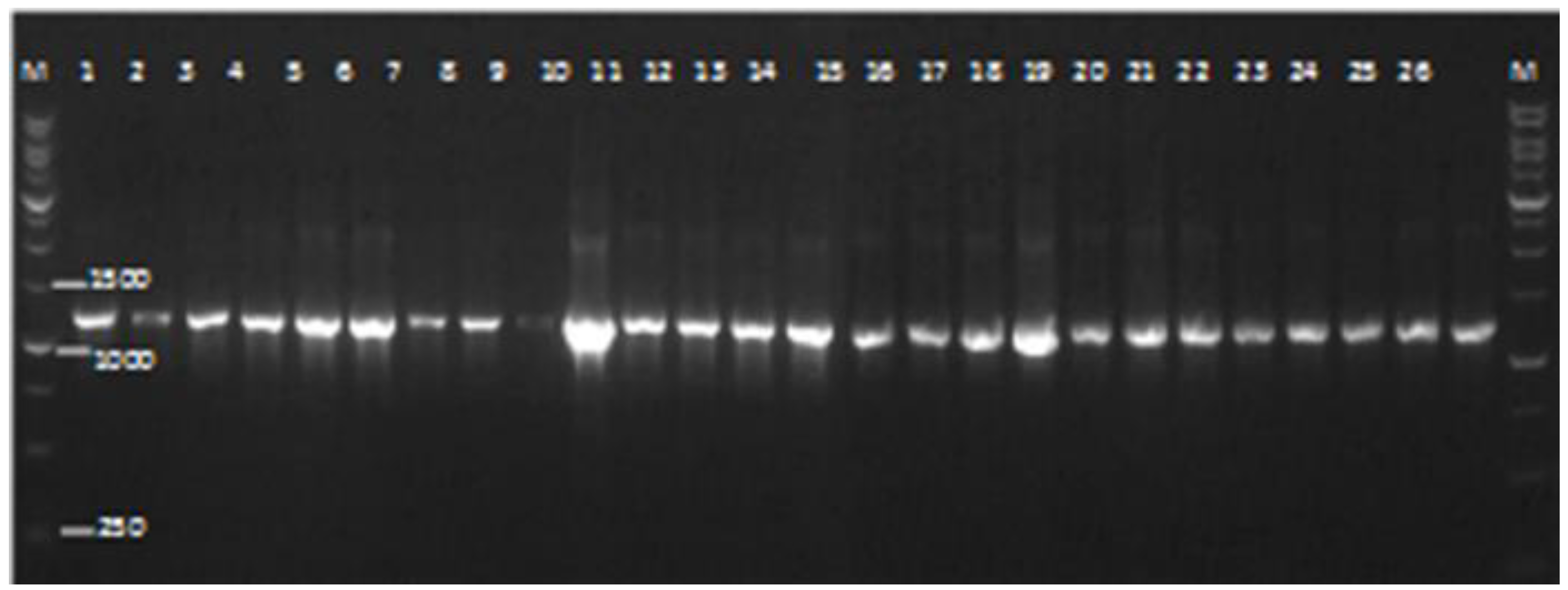 Applsci 12 12088 g001