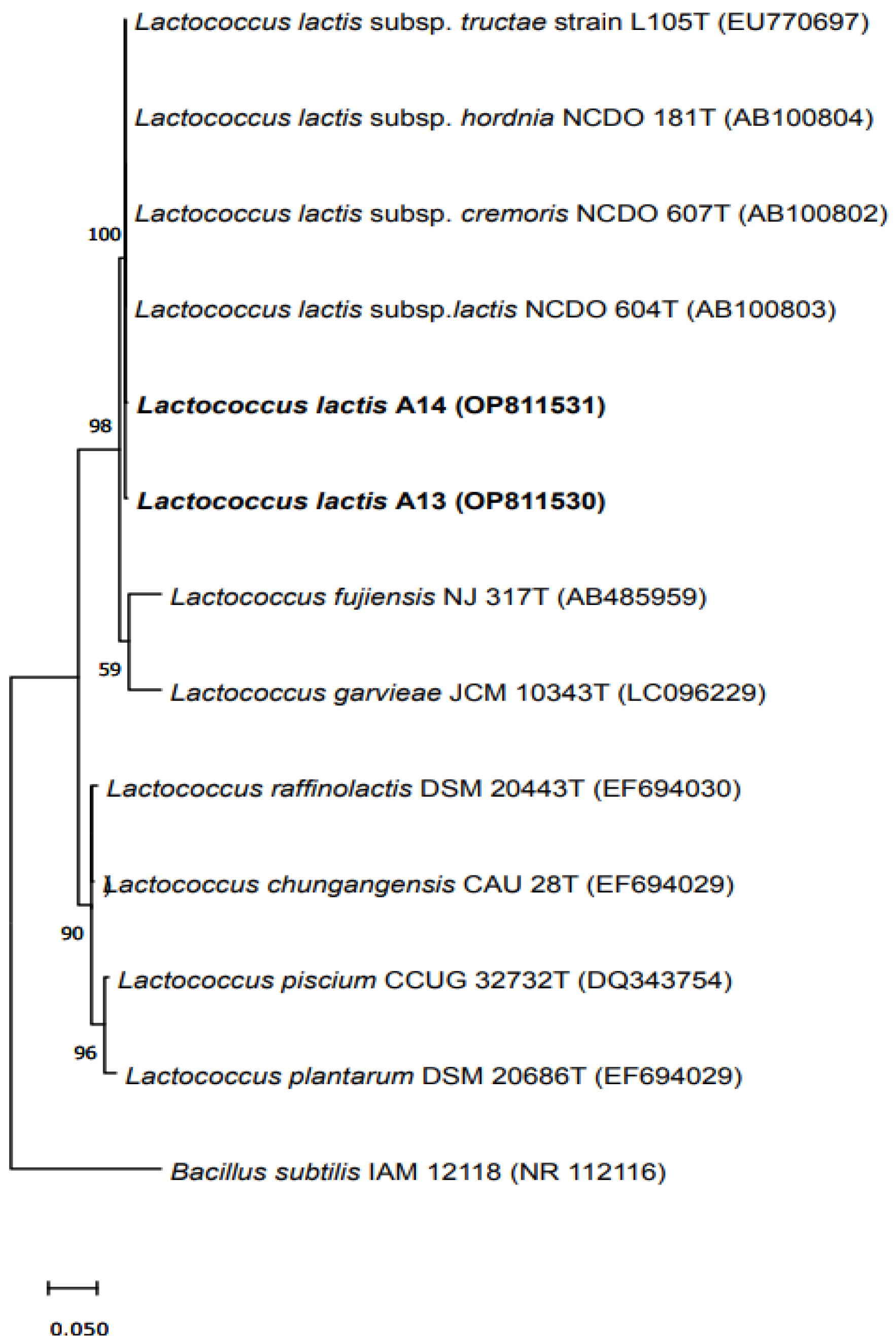 Applsci 12 12088 g002