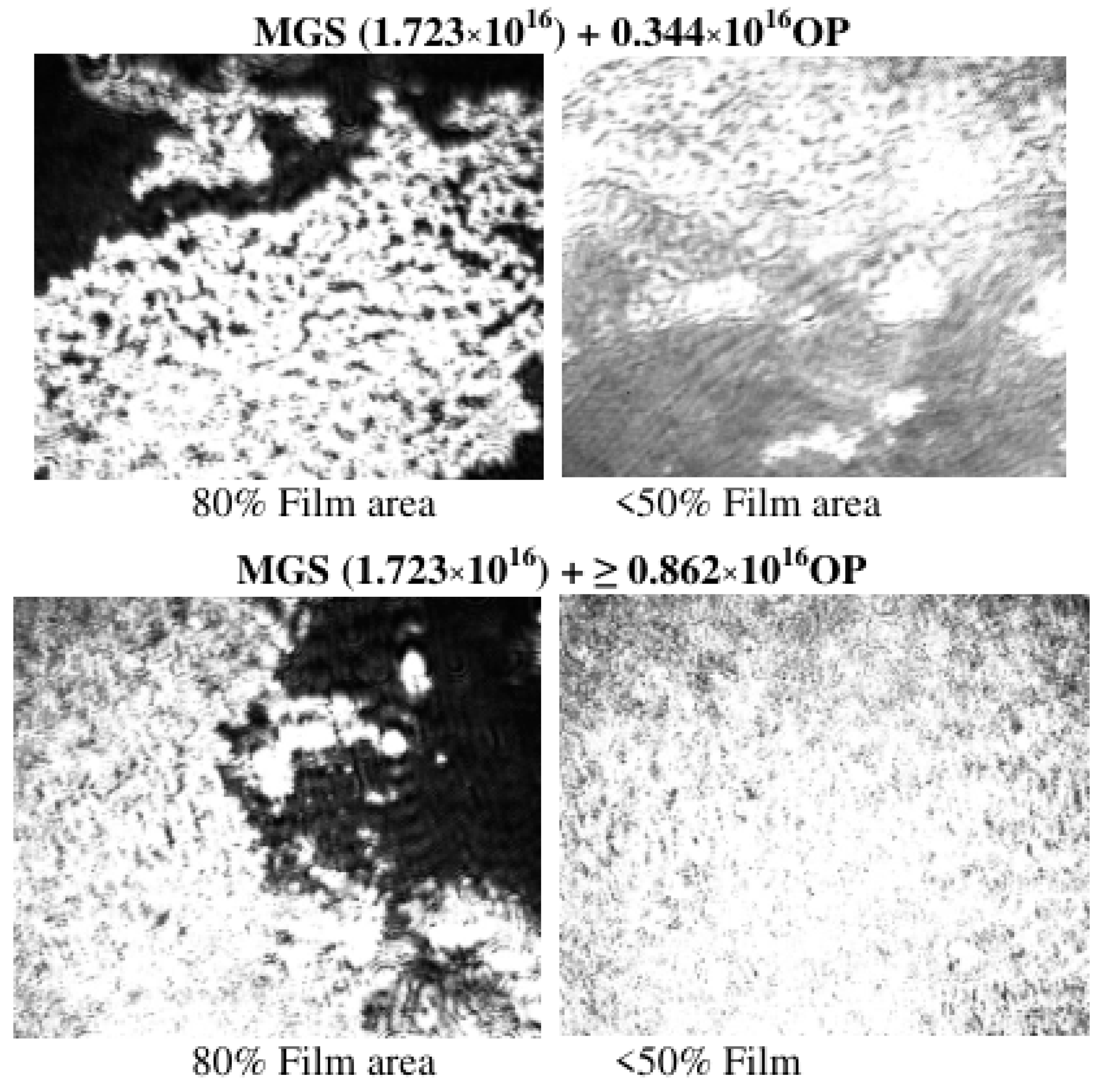 Applsci 12 12095 g005