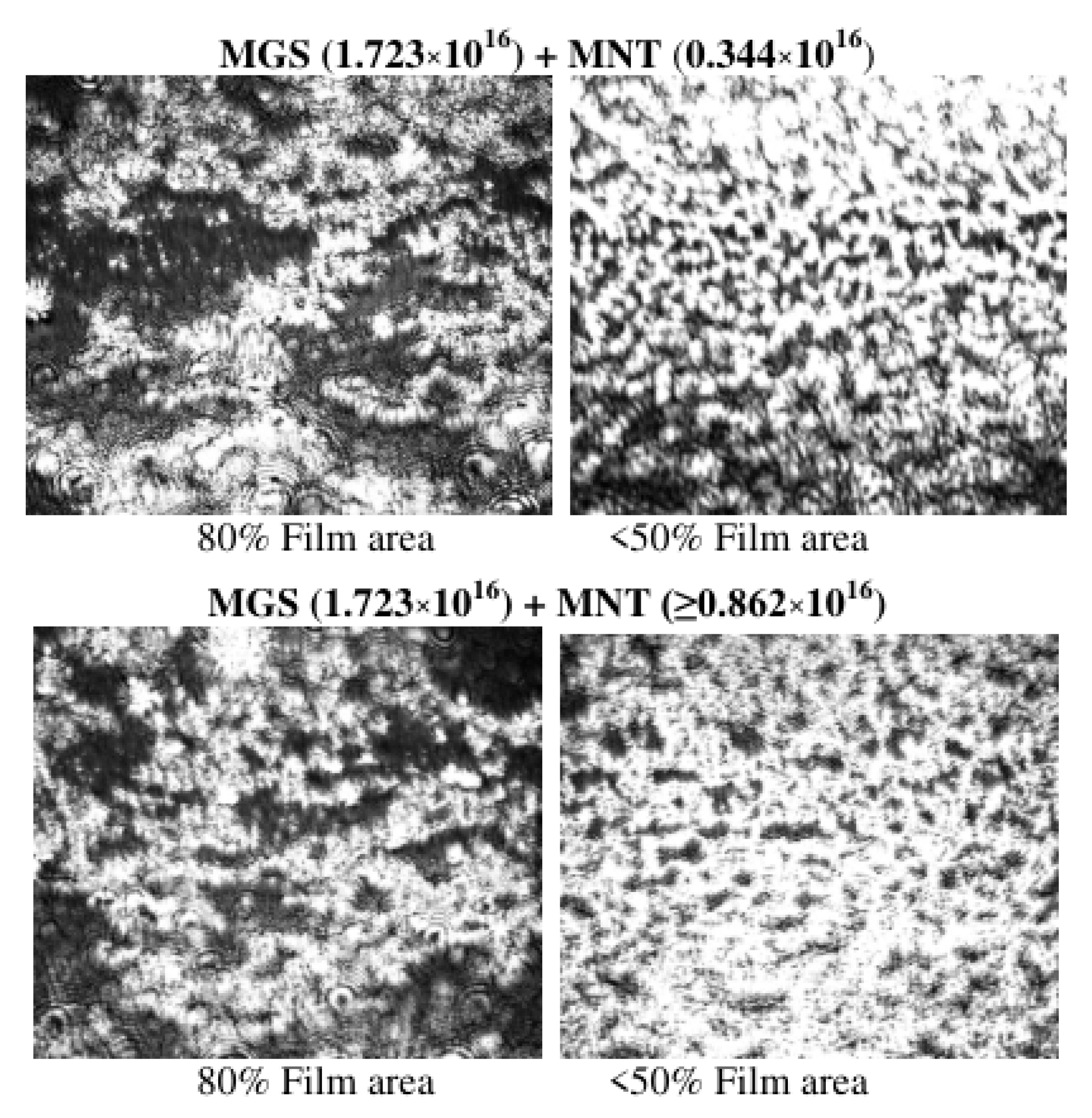 Applsci 12 12095 g009