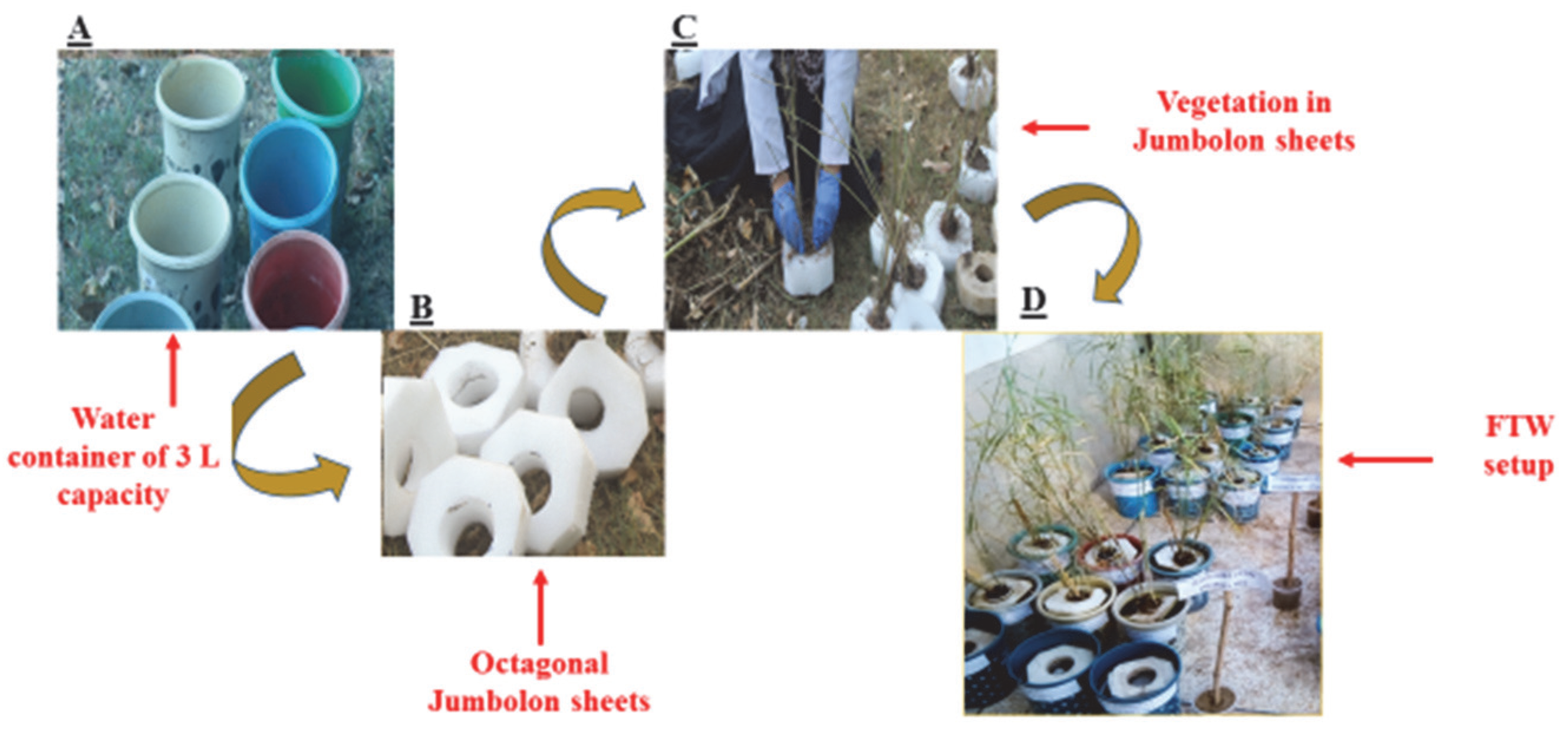 Applsci 12 12122 g001