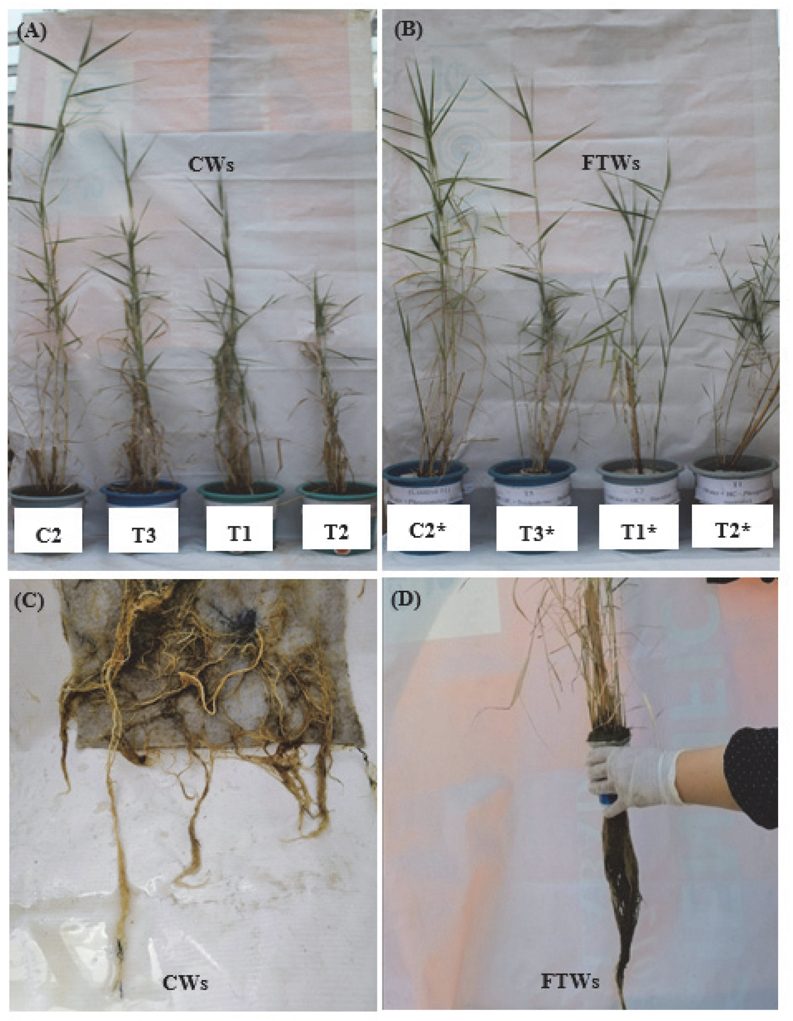 Applsci 12 12122 g008