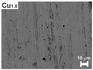 Applsci 12 12155 i001 Applsci 12 12155 i001