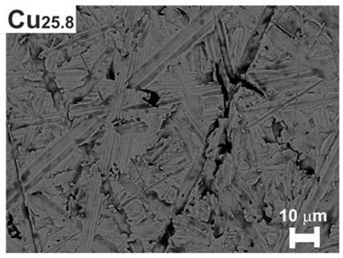 Applsci 12 12155 i005 Applsci 12 12155 i005