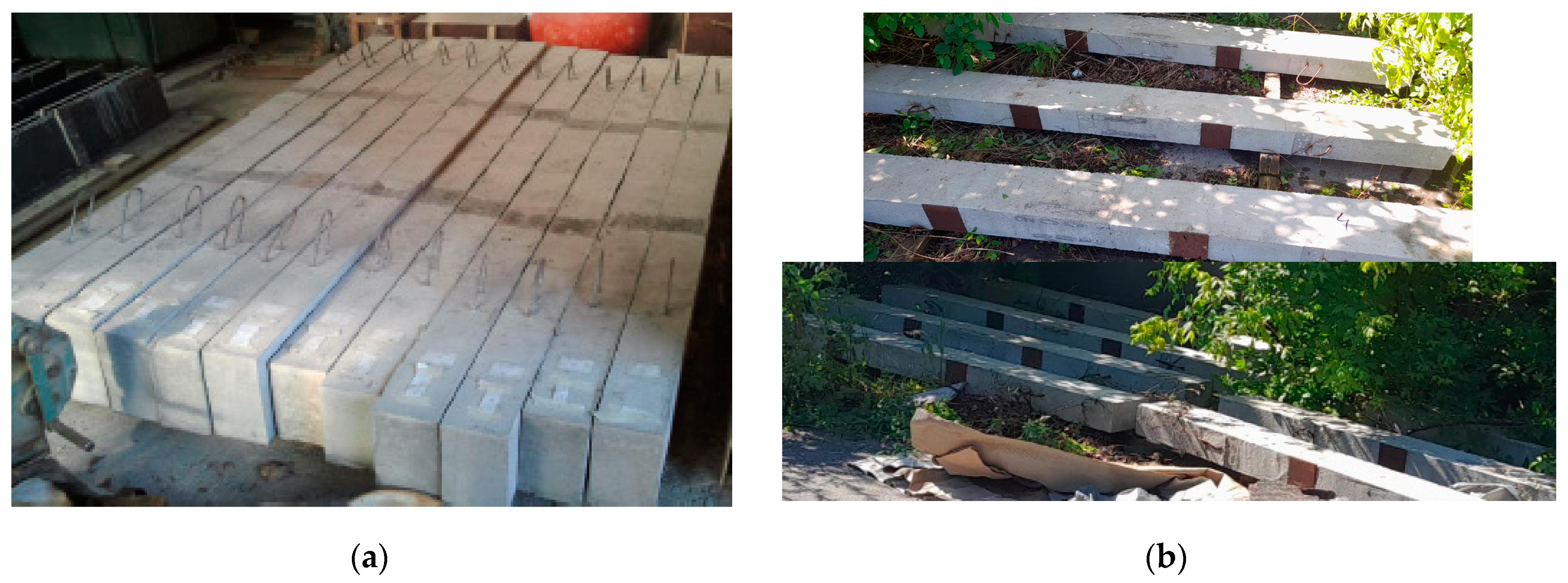 Applsci 12 12172 g001