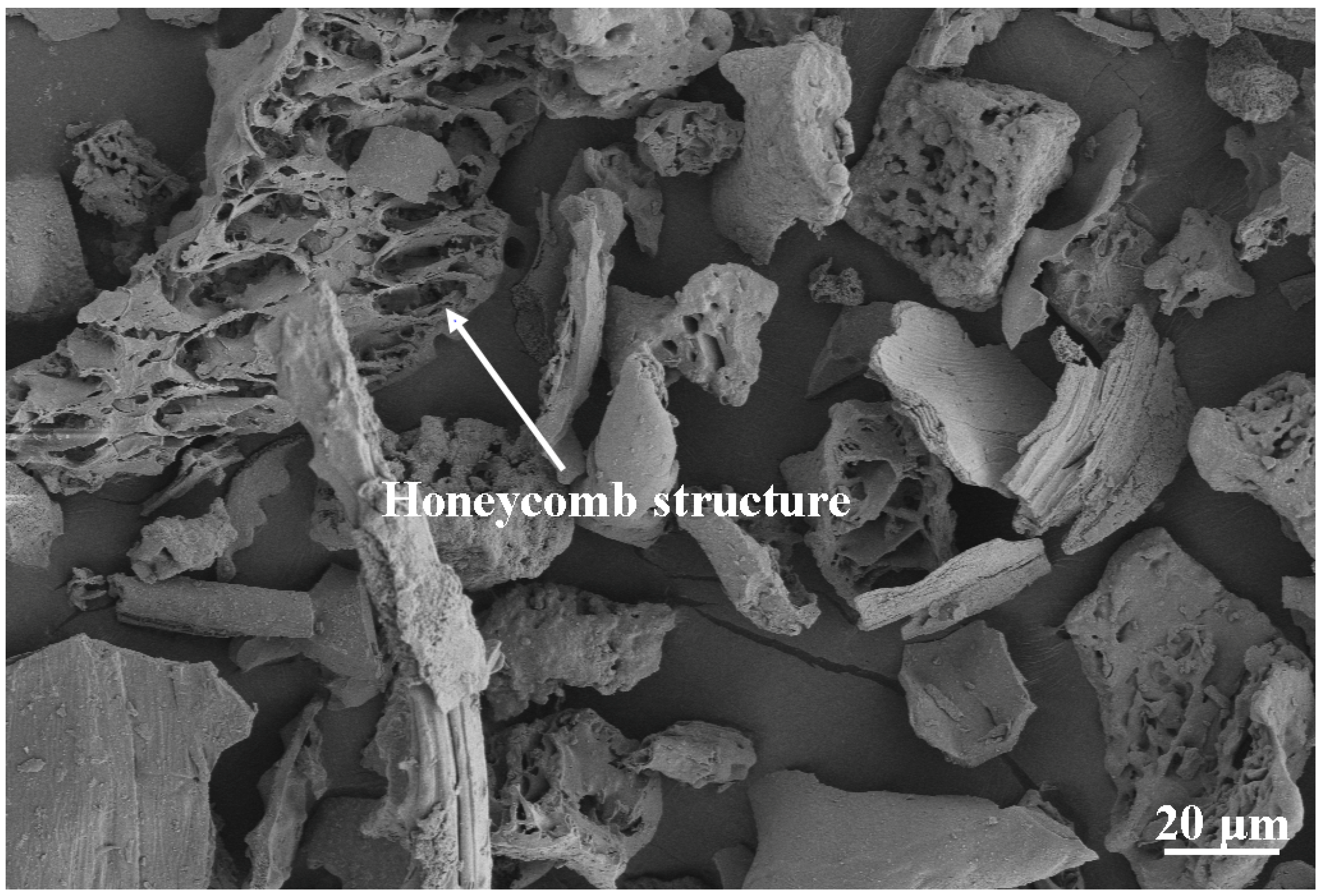 Applsci 12 12238 g001