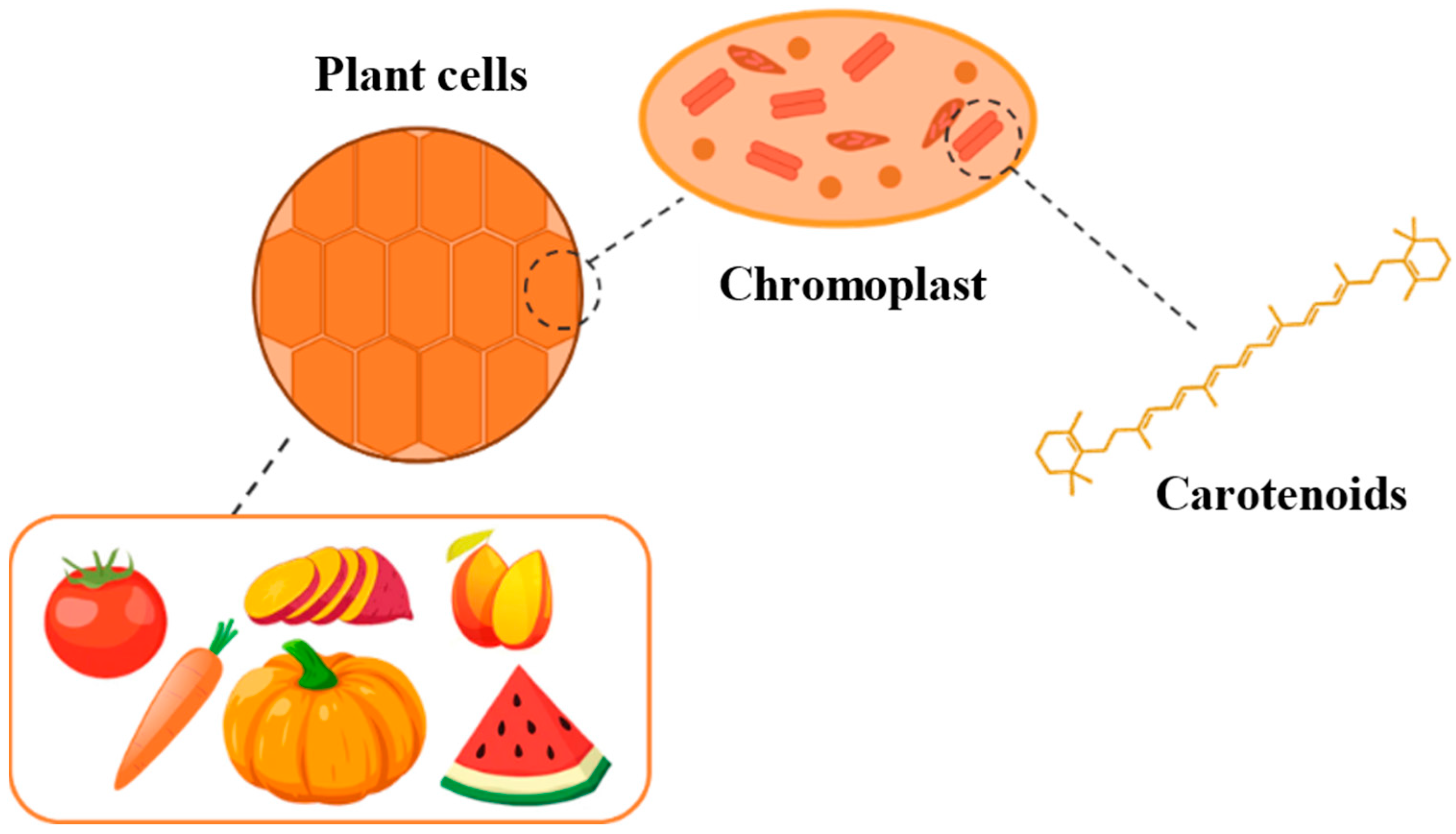 Applsci 12 12249 g001